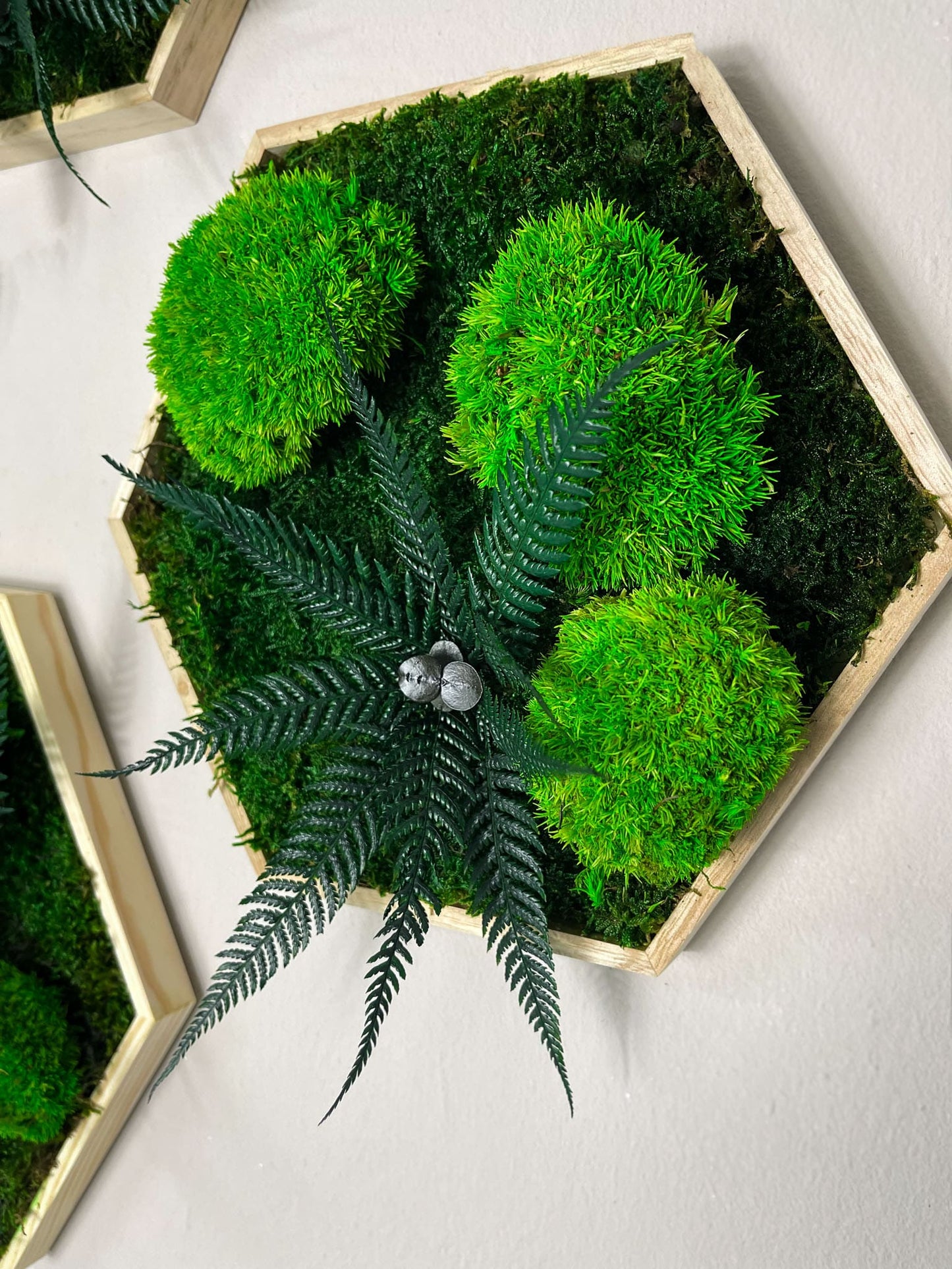 Geschenk Rahmen Rechteck Islandmoos moos Moosbild Rentiermoos Hellgrün Grün Natur Bollenmoos Moobilder Mooswand Pflanzen Pflanzenbild Flachmoos Waldmoos Muttertag Geburtstag Wohnung Dschungel Hügel