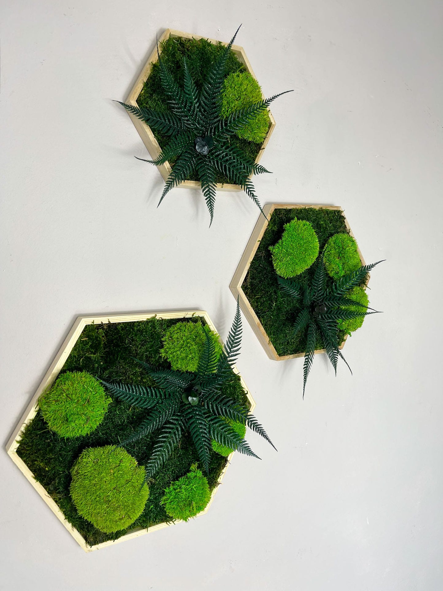 Geschenk Rahmen Rechteck Islandmoos moos Moosbild Rentiermoos Hellgrün Grün Natur Bollenmoos Moobilder Mooswand Pflanzen Pflanzenbild Flachmoos Waldmoos Muttertag Geburtstag Wohnung Dschungel Trio Hexagon Sechseck wabe biophelic design