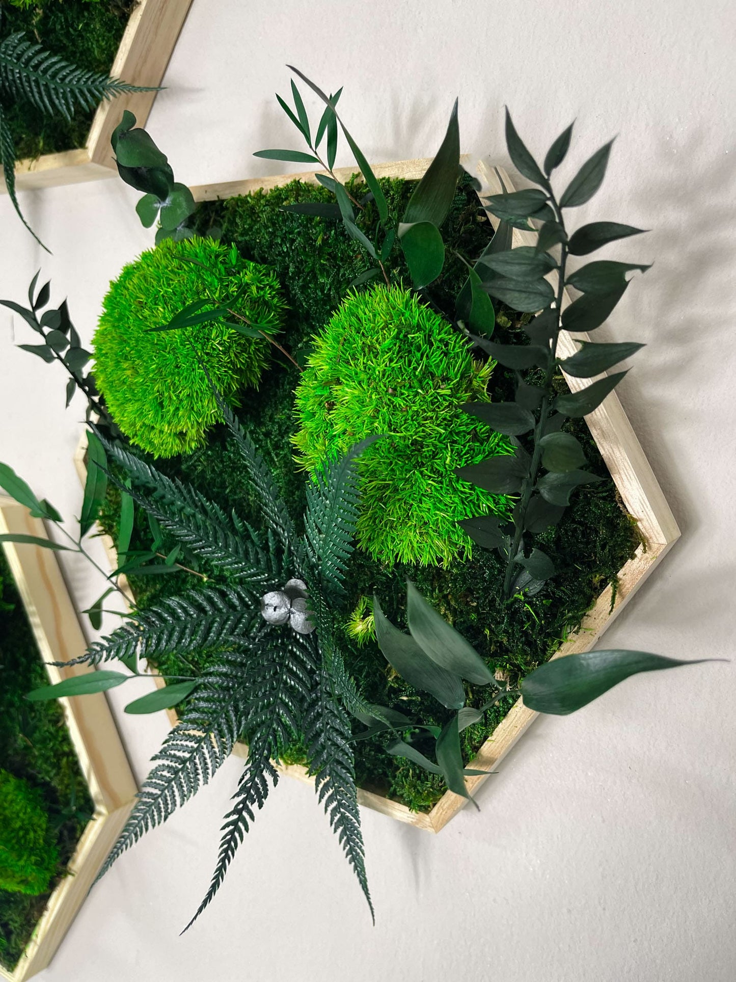 Geschenk Rahmen Rechteck Islandmoos moos Moosbild Rentiermoos Hellgrün Grün Natur Bollenmoos Moobilder Mooswand Pflanzen Pflanzenbild Flachmoos Waldmoos Muttertag Geburtstag Wohnung Dschungel Farn Farnblatt
