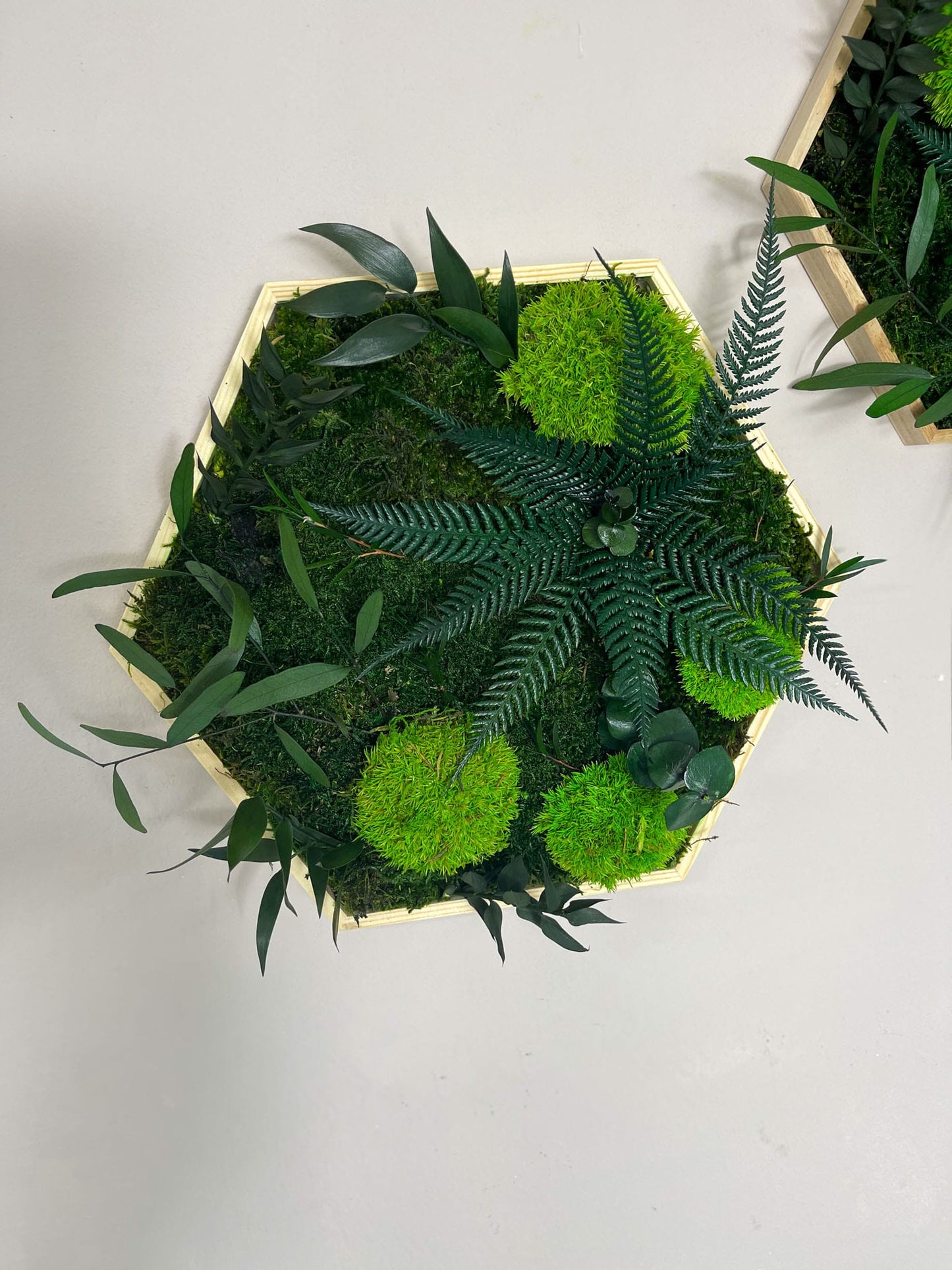 Geschenk Rahmen Rechteck Islandmoos moos Moosbild Rentiermoos Hellgrün Grün Natur Bollenmoos Moobilder Mooswand Pflanzen Pflanzenbild Flachmoos Waldmoos Muttertag Geburtstag Wohnung Dschungel Hexagon Wandgarten Pflanzenbild