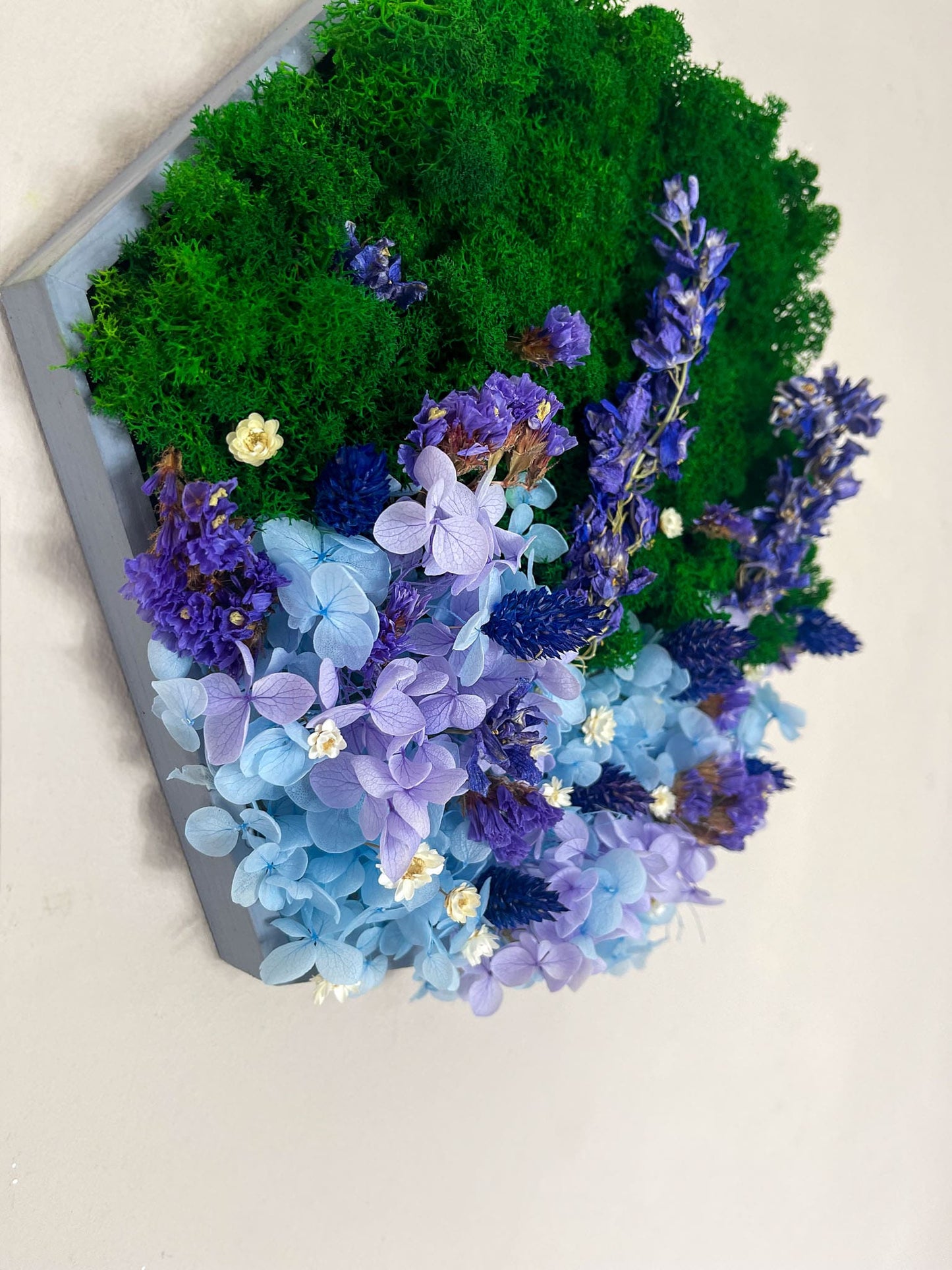 Geschenk Rahmen Rechteck Islandmoos moos Moosbild Rentiermoos Hellgrün Grün Natur Bollenmoos Moobilder Mooswand Pflanzen Pflanzenbild Flachmoos Waldmoos Muttertag Geburtstag Wohnung Hortensie Hortensien Hortensienwald Blume Blüten Blumen blau Blumenmeer Blumengarten Waldgarten Blume Blumen Blüte Rittersporn