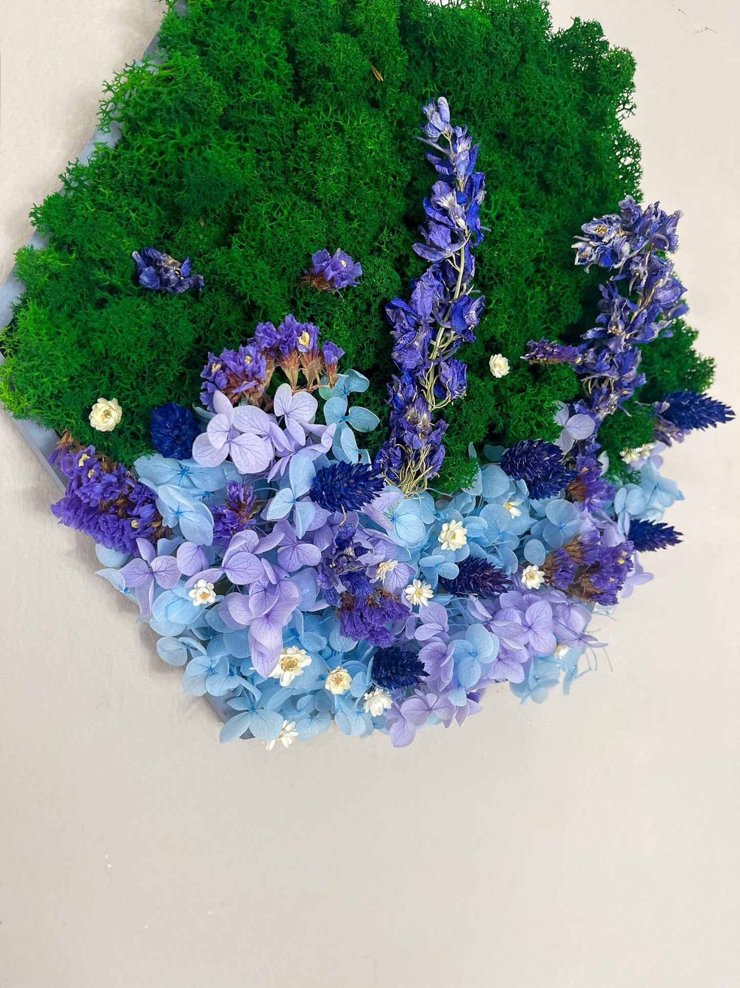 Geschenk Rahmen Rechteck Islandmoos moos Moosbild Rentiermoos Hellgrün Grün Natur Bollenmoos Moobilder Mooswand Pflanzen Pflanzenbild Flachmoos Waldmoos Muttertag Geburtstag Wohnung Hortensie Hortensien Hortensienwald Blume Blüten Blumen blau Blumenmeer Blumengarten Waldgarten Blume Blumen Blüte Daisy