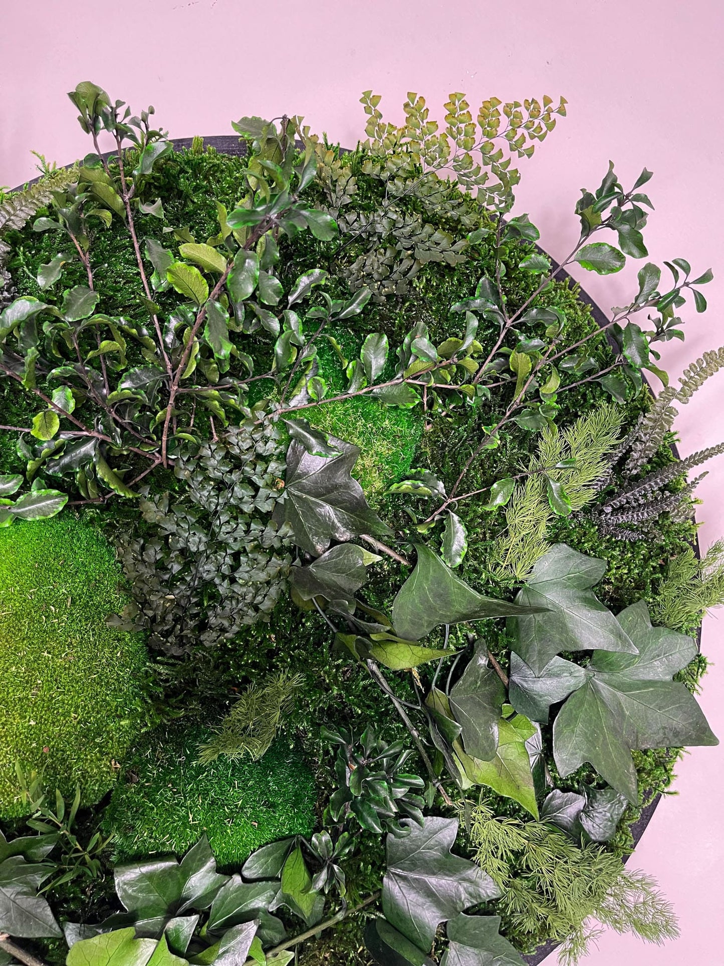 Geschenk Rahmen Rund Kreis Ball modern moos Moosbild Hellgrün Grün Natur Bollenmoos Moobilder Mooswand Pflanzen Pflanzenbild Flachmoos Waldmoos Muttertag Geburtstag Wohnung Ranke Efeu Efeuranke Efeublatt Efeublätter konserviert konservieren Farn Farnblatt Wald Lutti Klebsamen Wandgarten Wandbild Mooswand Pflanzenwand Pflanzenbild Bild Waldbild