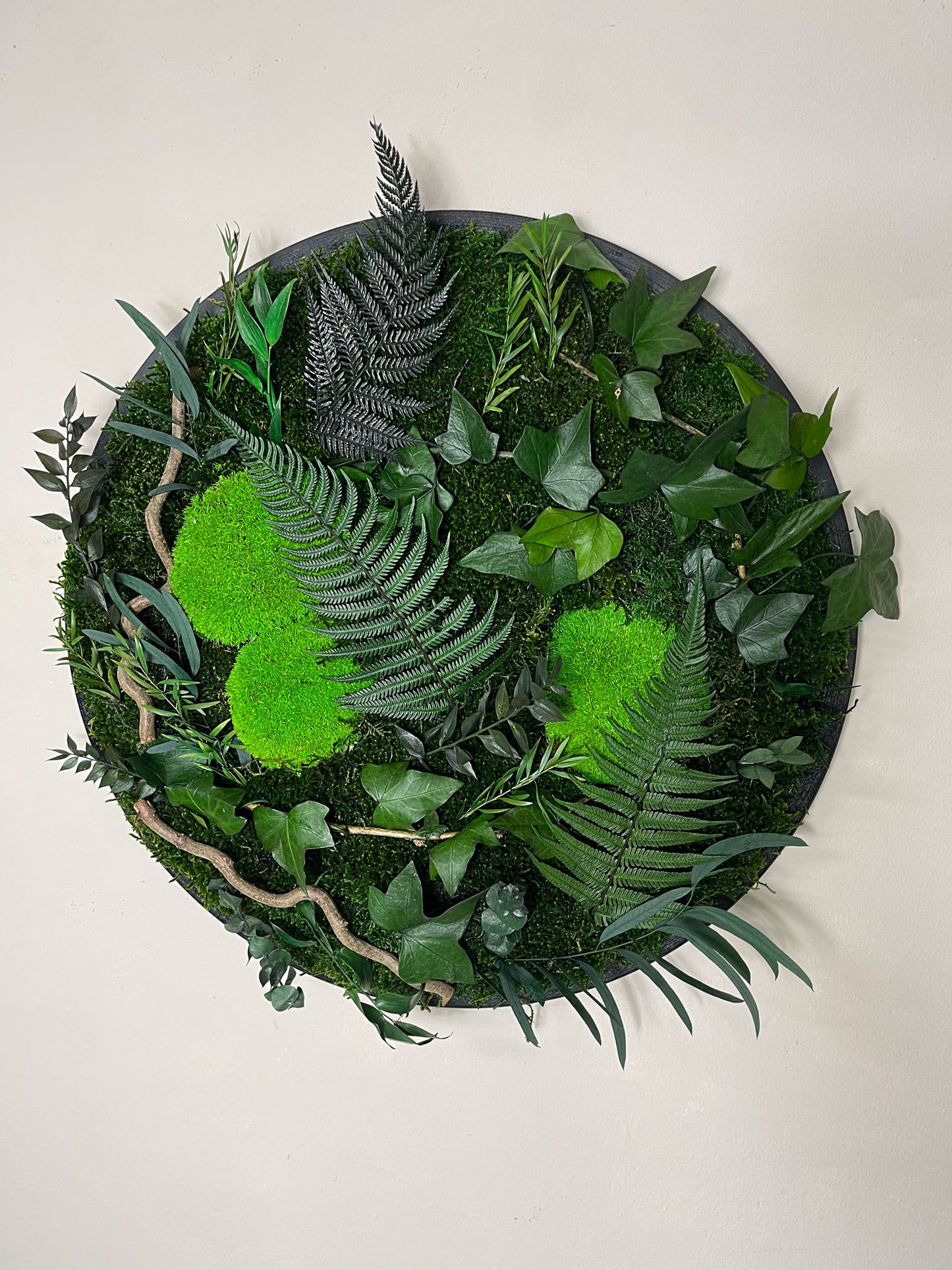 Geschenk Rahmen Rund Kreis Ball modern moos Moosbild Hellgrün Grün Natur Bollenmoos Moobilder Mooswand Pflanzen Pflanzenbild Flachmoos Waldmoos Muttertag Geburtstag Wohnung Ranke Efeu Efeuranke Efeublatt Efeublätter konserviert konservieren Farn Farnblatt Wald Lutti Klebsamen Wandgarten Wandbild Mooswand Pflanzenwand Pflanzenbild Bild Äste
