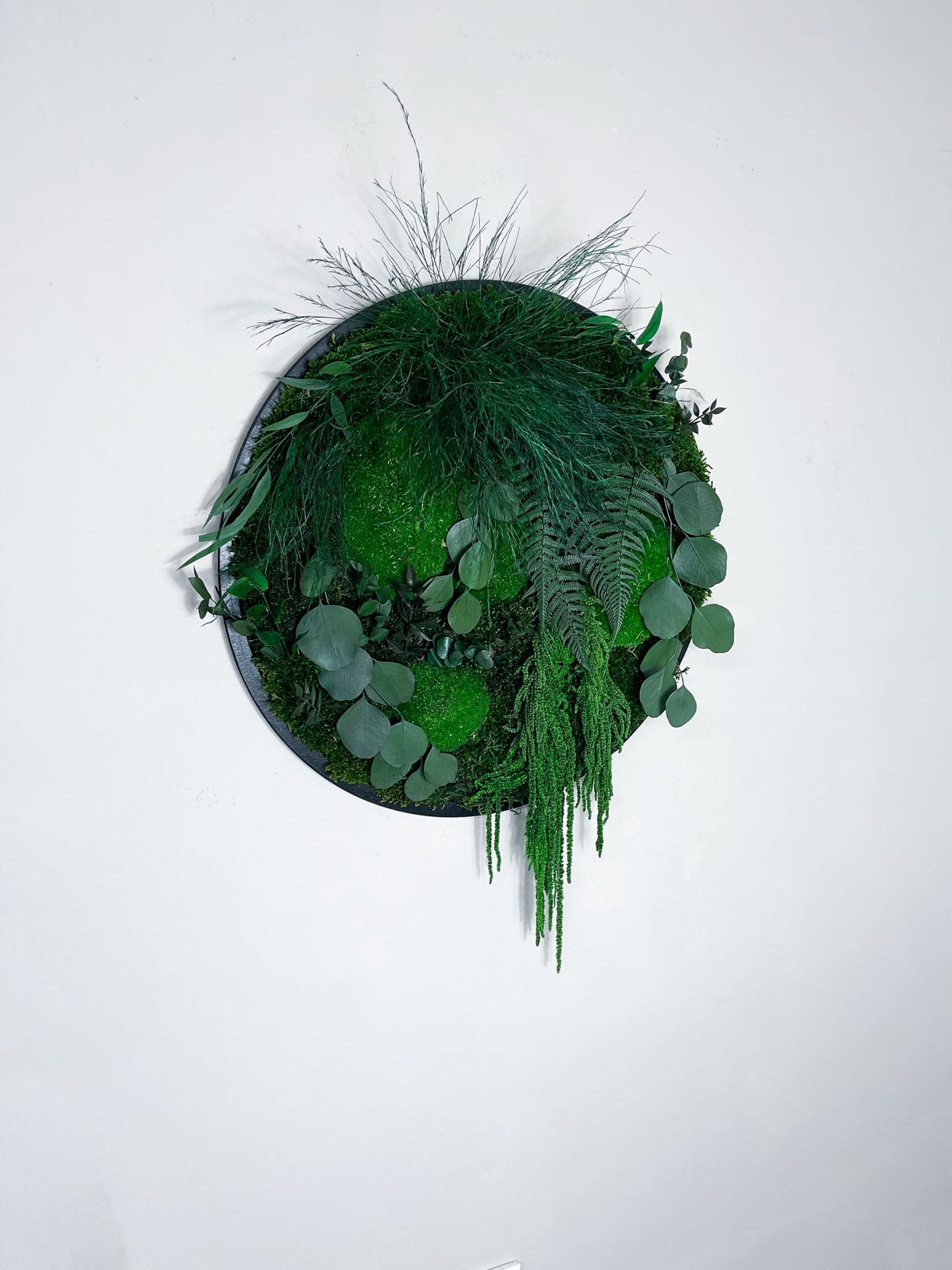 Geschenk Rahmen Rund Kreis Ball modern moos Moosbild Hellgrün Grün Natur Bollenmoos Moobilder Mooswand Pflanzen Pflanzenbild Flachmoos Waldmoos Muttertag Geburtstag Wohnung Amarant Amaranth Ranke Efeu Efeuranke Efeublatt Efeublätter konserviert konservieren Farn Farnblatt Wald Lutti Klebsamen Wandgarten Wandbild Mooswand Pflanzenwand Pflanzenbild Bild handmade Jungle Dschungel