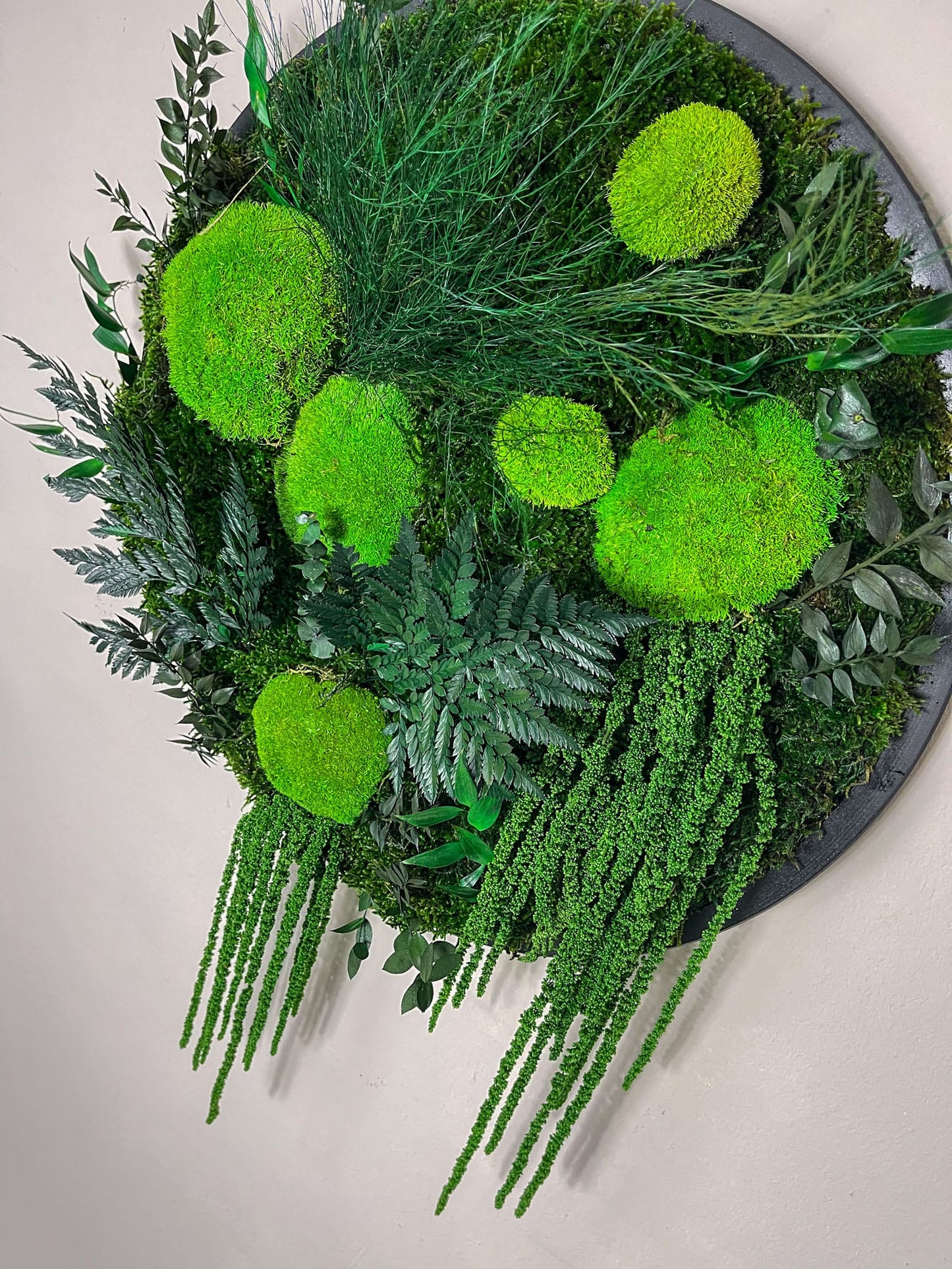 Geschenk Rahmen Rund Kreis Ball modern moos Moosbild Hellgrün Grün Natur Bollenmoos Moobilder Mooswand Pflanzen Pflanzenbild Flachmoos Waldmoos Muttertag Geburtstag Wohnung Amarant Amaranth Ranke Efeu Efeuranke Efeublatt Efeublätter konserviert konservieren Farn Farnblatt Wald Lutti Klebsamen Wandgarten Wandbild Mooswand Pflanzenwand Pflanzenbild Bild Jungel