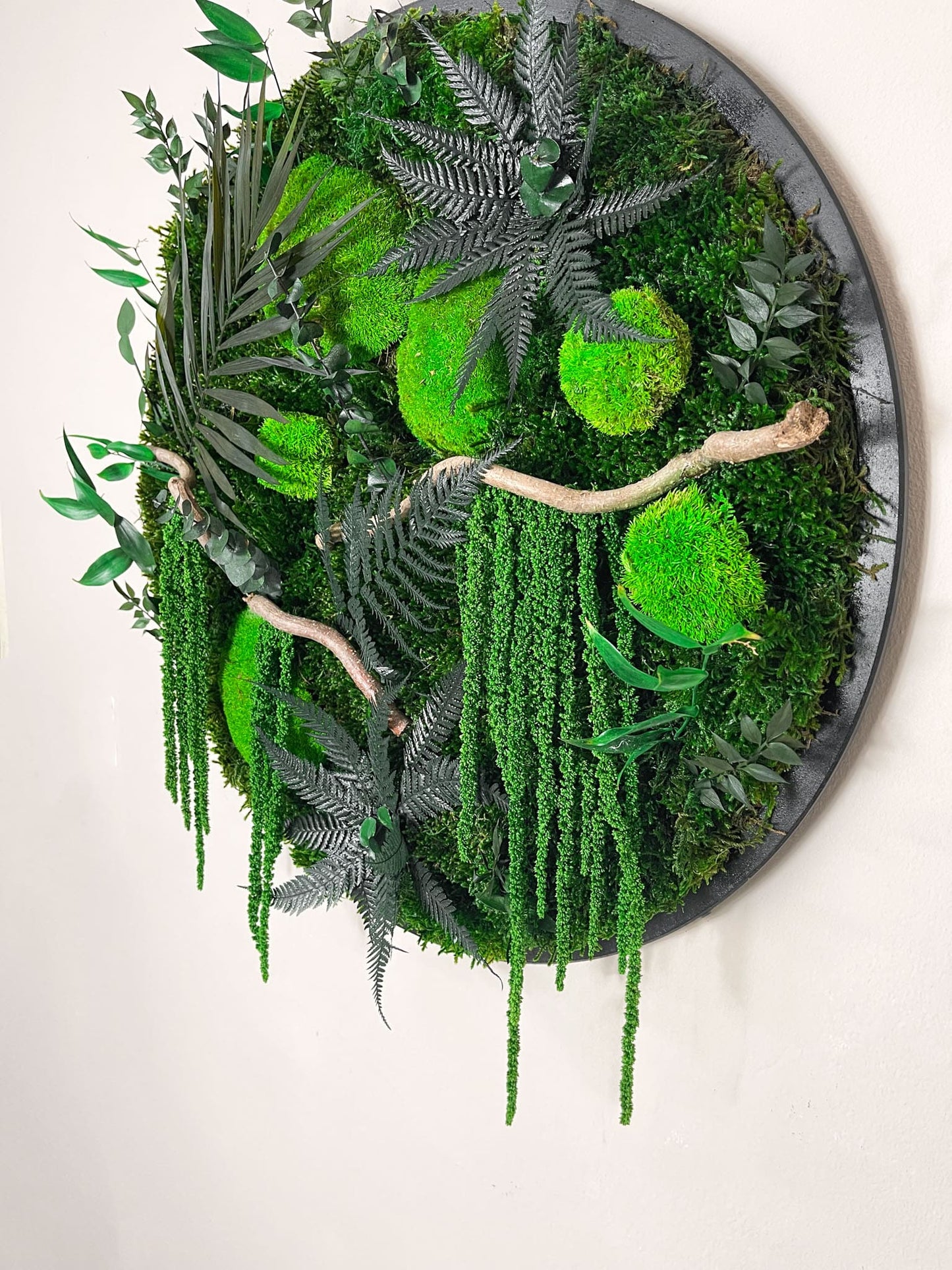 Geschenk Rahmen Rund Kreis Ball modern moos Moosbild Hellgrün Grün Natur Bollenmoos Moobilder Mooswand Pflanzen Pflanzenbild Flachmoos Waldmoos Muttertag Geburtstag Wohnung Amarant Amaranth Ranke Efeu Efeuranke Efeublatt Efeublätter konserviert konservieren Farn Farnblatt Wald Lutti Klebsamen Wandgarten Wandbild Mooswand Pflanzenwand Pflanzenbild Bild Dschungelblume Dschungelblumen