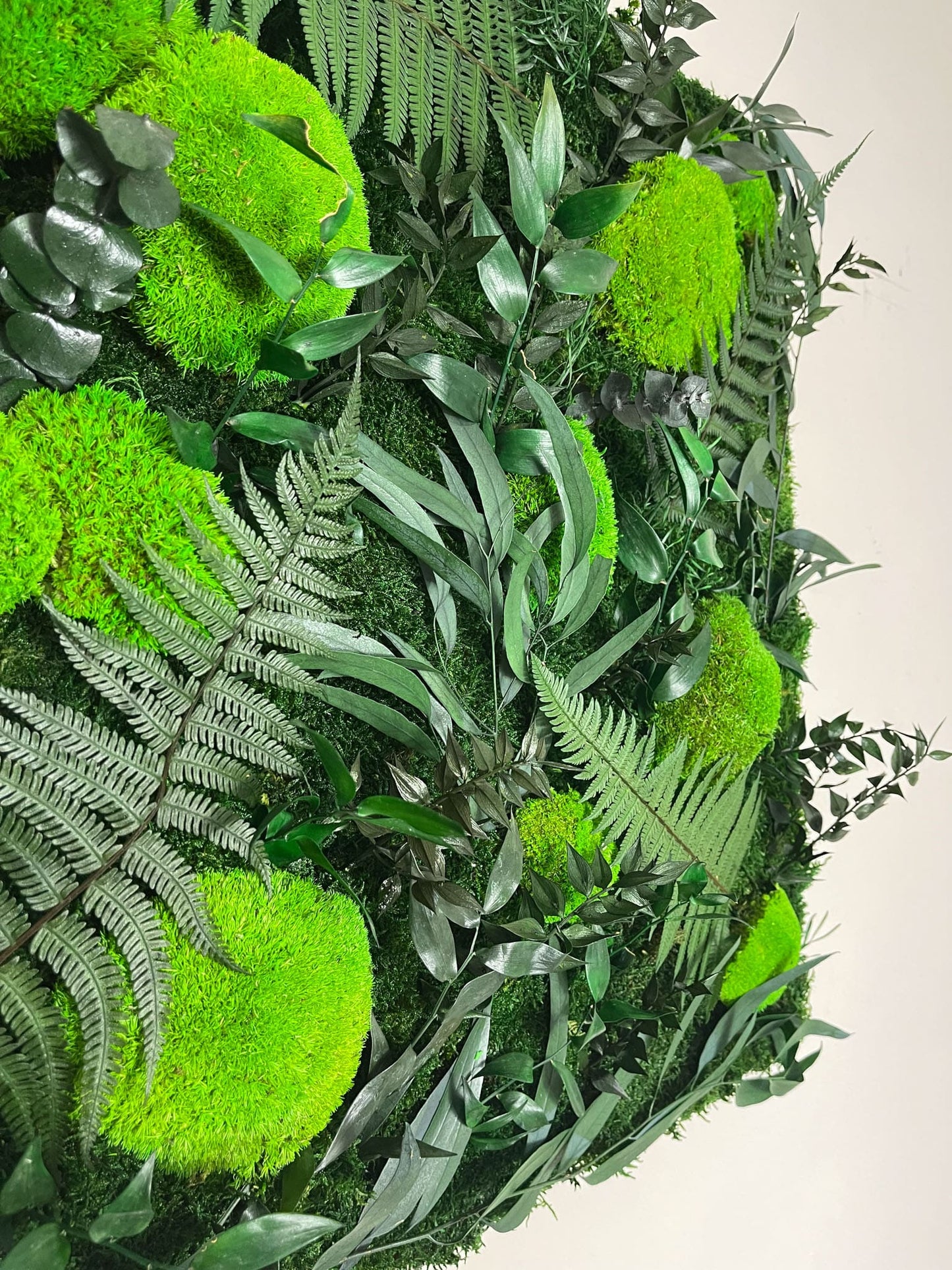 Geschenk Rahmen modern moos Moosbild Hellgrün Grün Natur Bollenmoos Moobilder Mooswand Pflanzen Pflanzenbild Flachmoos Waldmoos Muttertag Geburtstag Wohnung Rahmenlos Urban Dschungel Jungle Pflanze Wandgarten Farnblätter