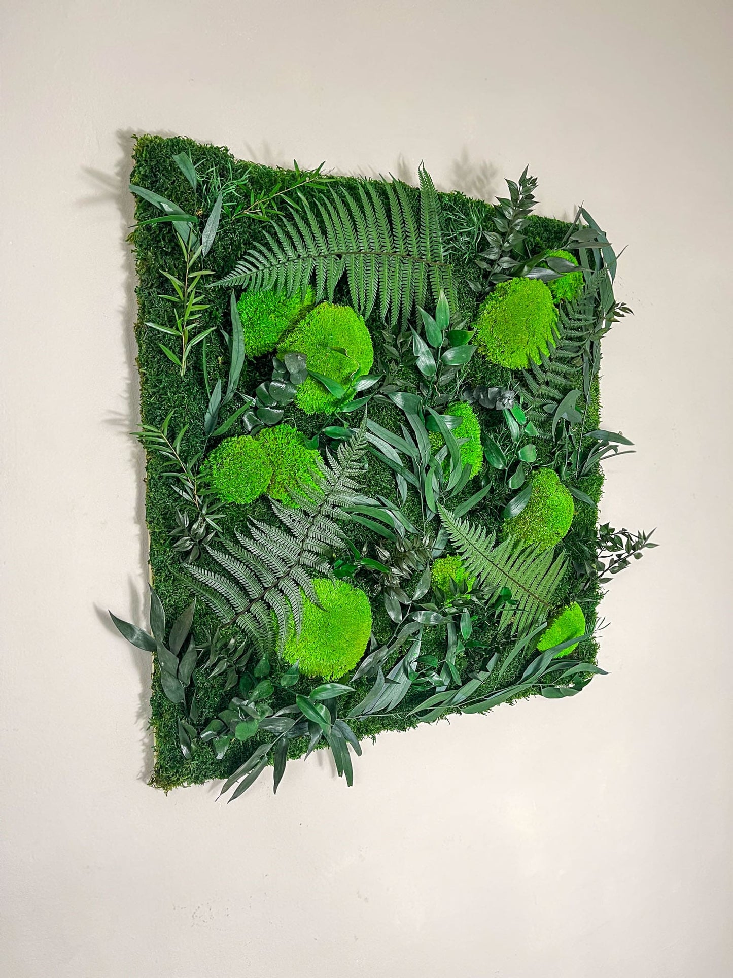 Geschenk Rahmen modern moos Moosbild Hellgrün Grün Natur Bollenmoos Moobilder Mooswand Pflanzen Pflanzenbild Flachmoos Waldmoos Muttertag Geburtstag Wohnung Rahmenlos Urban Dschungel Jungle Pflanze Wandgarten Tropenwald Urwald