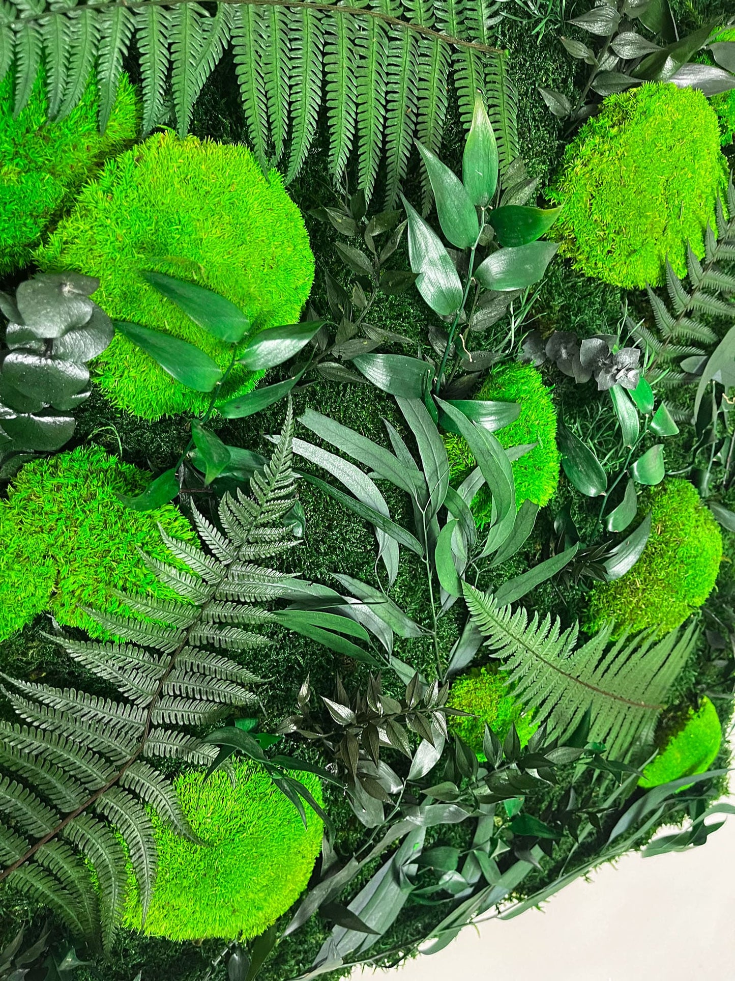 Geschenk Rahmen modern moos Moosbild Hellgrün Grün Natur Bollenmoos Moobilder Mooswand Pflanzen Pflanzenbild Flachmoos Waldmoos Muttertag Geburtstag Wohnung Rahmenlos Urban Dschungel Jungle Pflanze Wandgarten Blätter