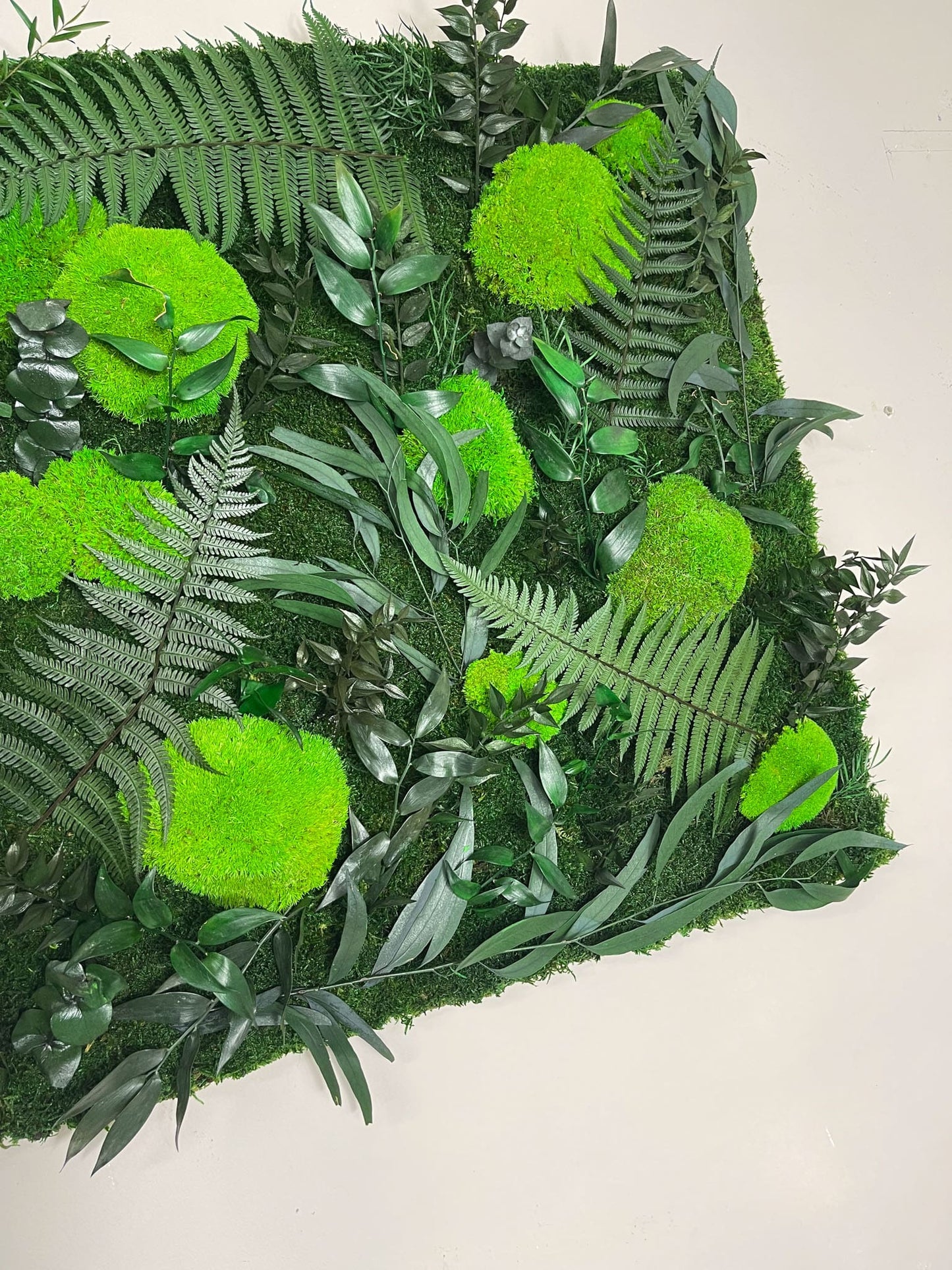 Geschenk Rahmen modern moos Moosbild Hellgrün Grün Natur Bollenmoos Moobilder Mooswand Pflanzen Pflanzenbild Flachmoos Waldmoos Muttertag Geburtstag Wohnung Rahmenlos Urban Dschungel Jungle Pflanze Wandgarten