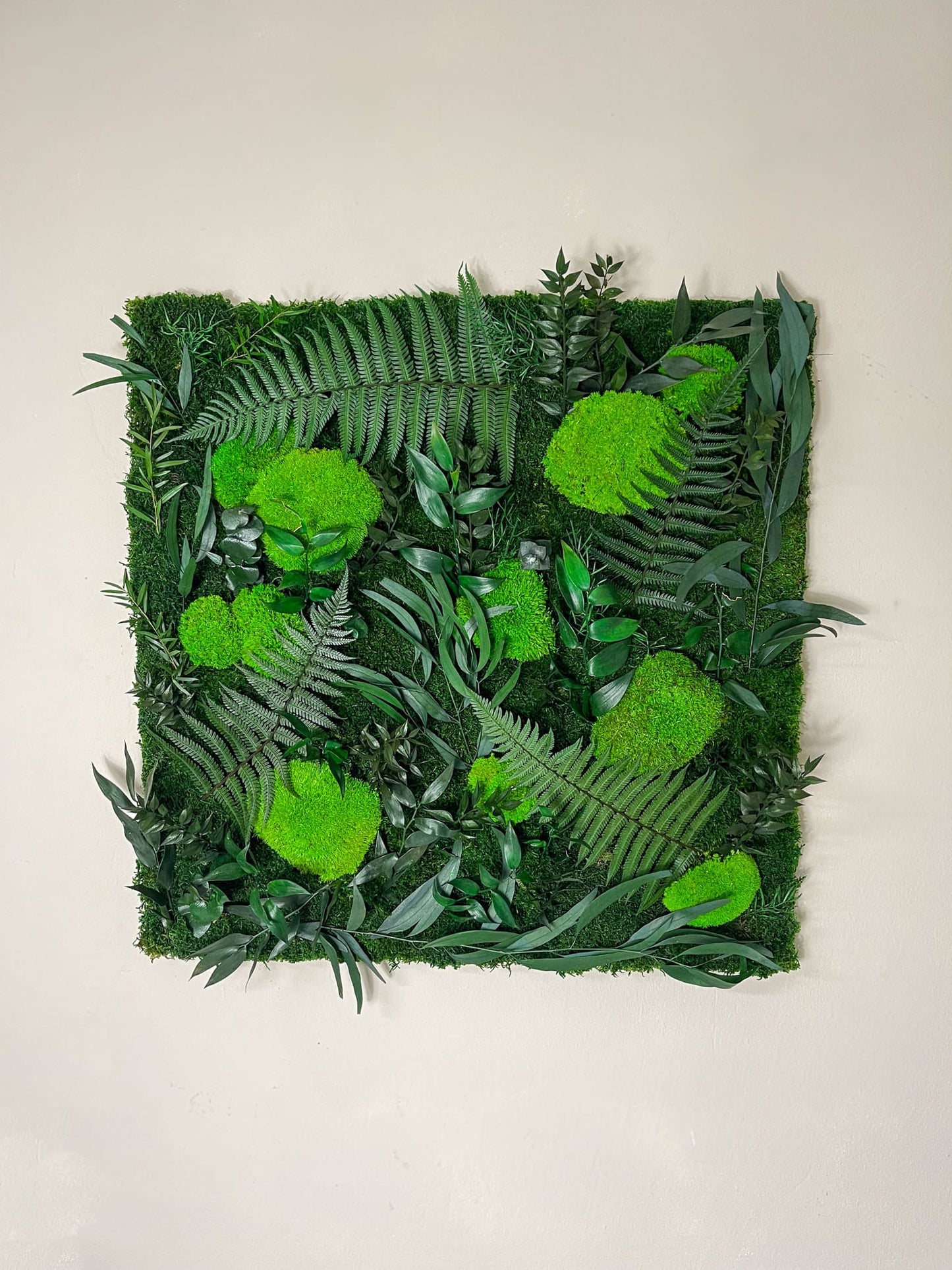 Geschenk Rahmen modern moos Moosbild Hellgrün Grün Natur Bollenmoos Moobilder Mooswand Pflanzen Pflanzenbild Flachmoos Waldmoos Muttertag Geburtstag Wohnung Rahmenlos Urban Dschungel Jungle Pflanze Wandgarten Farnblatt