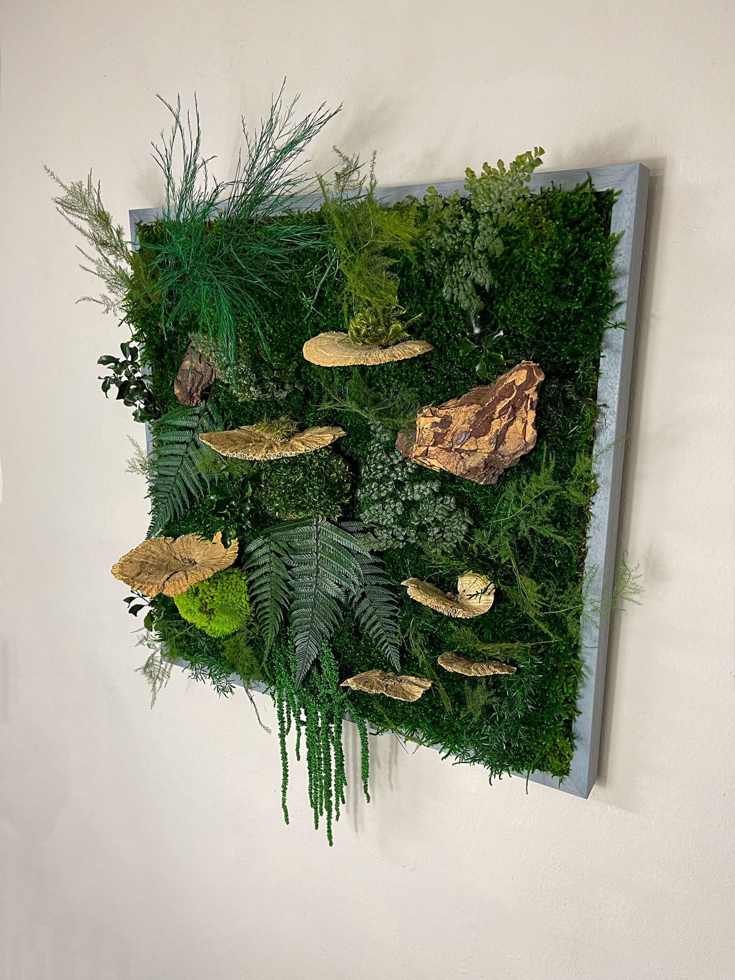 Geschenk Rahmen modern moos Moosbild Grün Natur Bollenmoos Moobilder Mooswand Pflanzen Pflanzenbild Flachmoos Waldmoos Muttertag Geburtstag Wohnung Dschungelmoos Dschungel Pflanzenbild Pflanzen Rinde Baumrinde Treibholz Vollholz Baumpilze Baumschwamm Baumschwämme Baumpilze Deko Trockenblumen Dekoration Wandgarten Farnblatt Blatt Farn Viereck
