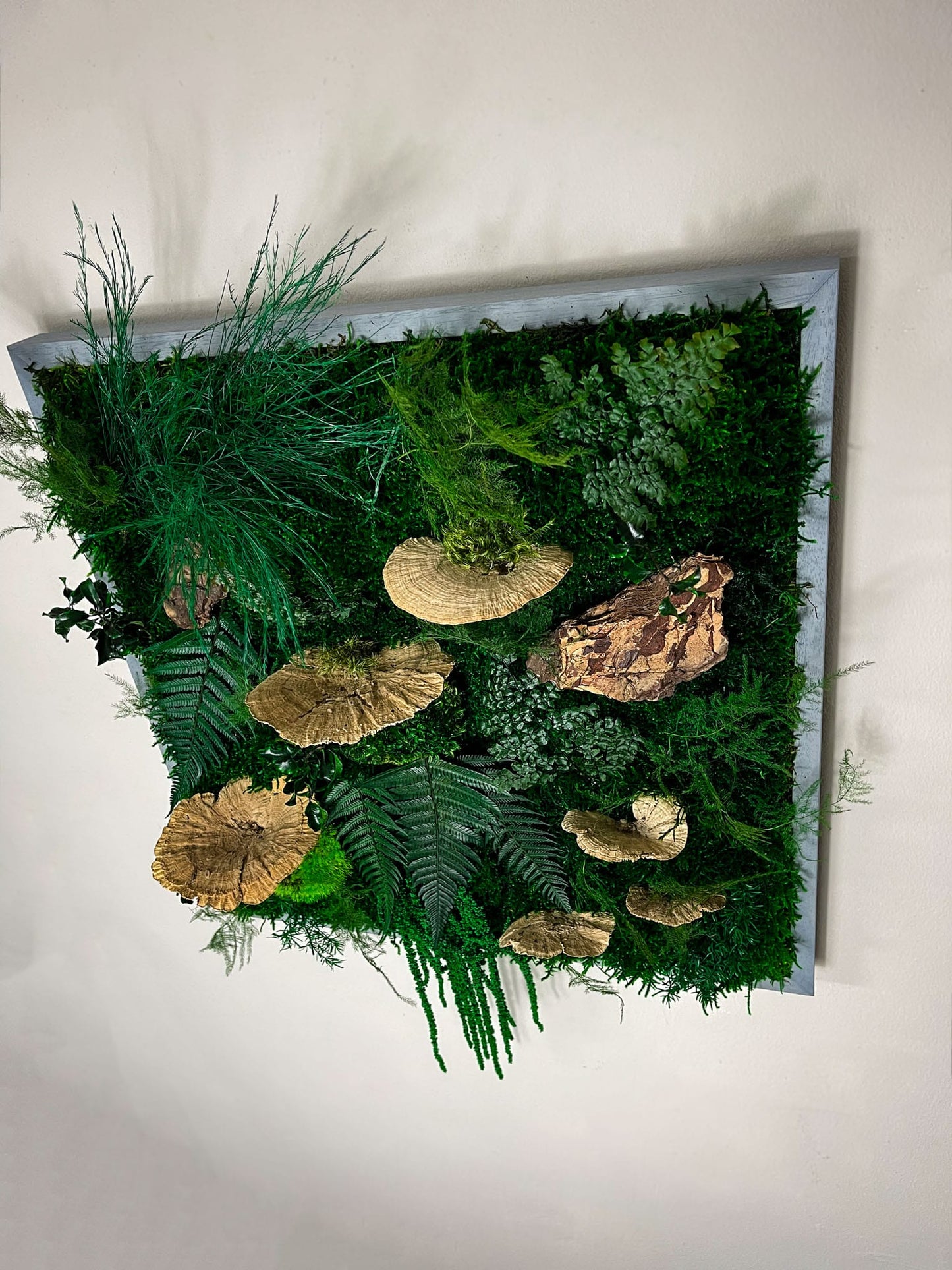 Geschenk Rahmen modern moos Moosbild Grün Natur Bollenmoos Moobilder Mooswand Pflanzen Pflanzenbild Flachmoos Waldmoos Muttertag Geburtstag Wohnung Dschungelmoos Dschungel Pflanzenbild Pflanzen Rinde Baumrinde Treibholz Vollholz Baumpilze Baumschwamm Baumschwämme Baumpilze Deko Trockenblumen Dekoration Wandgarten Farnblatt Blatt Farn Ranken Ranke