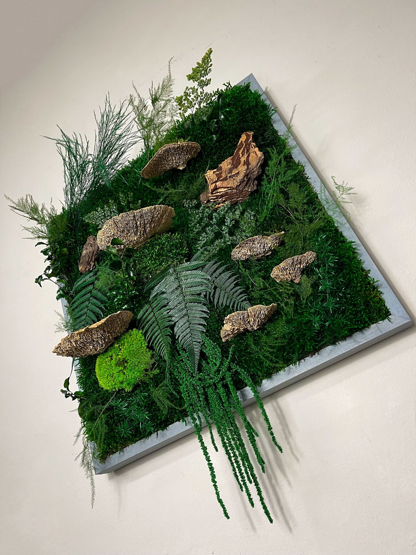 Geschenk Rahmen modern moos Moosbild Grün Natur Bollenmoos Moobilder Mooswand Pflanzen Pflanzenbild Flachmoos Waldmoos Muttertag Geburtstag Wohnung Dschungelmoos Dschungel Pflanzenbild Pflanzen Rinde Baumrinde Treibholz Vollholz Baumpilze Baumschwamm Baumschwämme Baumpilze Deko Trockenblumen Dekoration Wandgarten Farnblatt Blatt Farn Rinde Hügel Hügelmoos