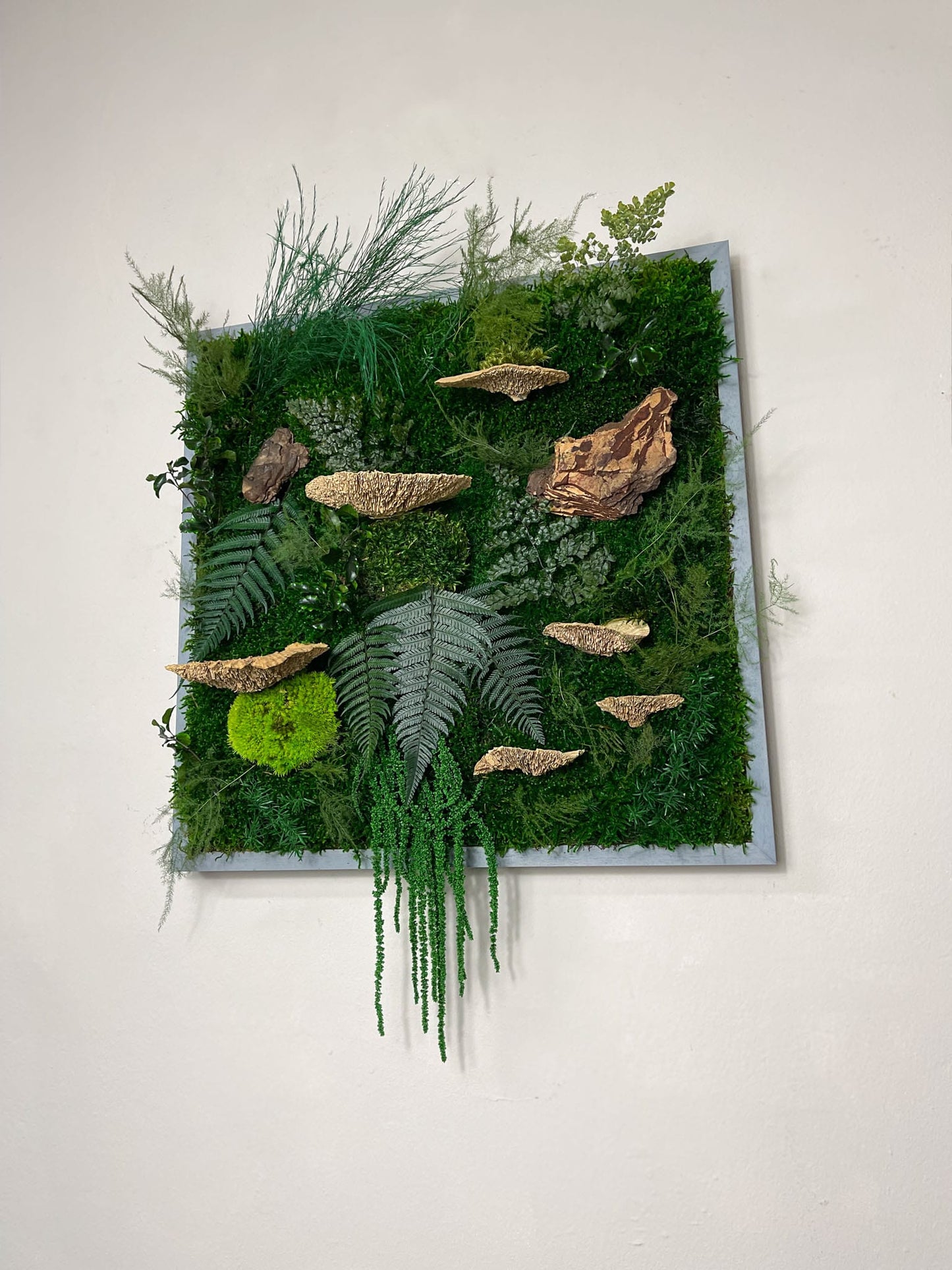 Geschenk Rahmen modern moos Moosbild Grün Natur Bollenmoos Moobilder Mooswand Pflanzen Pflanzenbild Flachmoos Waldmoos Muttertag Geburtstag Wohnung Dschungelmoos Dschungel Pflanzenbild Pflanzen Rinde Baumrinde Treibholz Vollholz Baumpilze Baumschwamm Baumschwämme Baumpilze Deko Trockenblumen Dekoration Wandgarten Farnblatt Blatt Farn Baumfarn