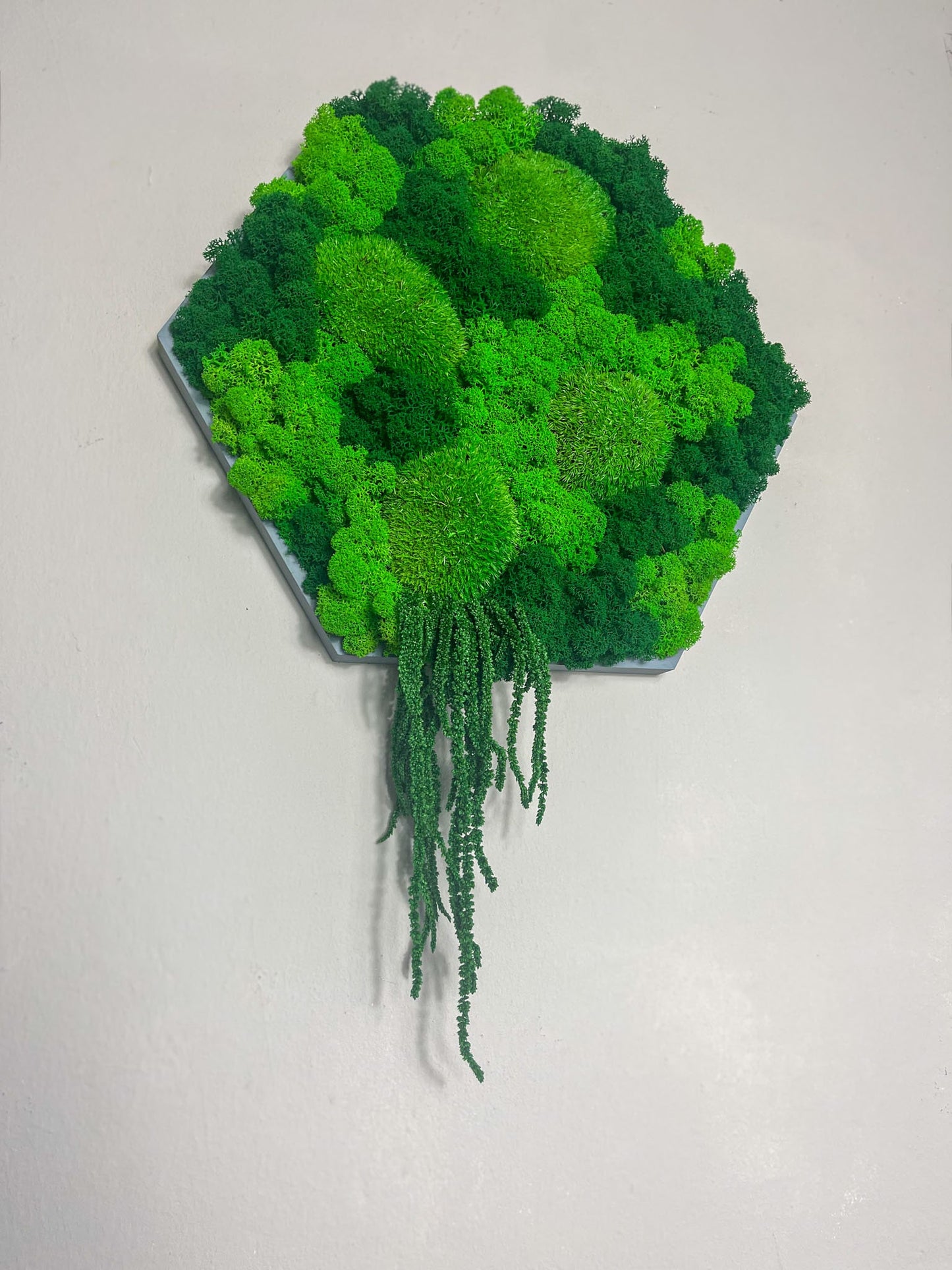 Geschenk Rahmen Hexagon Wabe Bienenwabe Waben modern Sechseck moos Moosbild Hellgrün Grün Natur Moobilder Mooswand Pflanzen Pflanzenbild Flachmoos Waldmoos Muttertag Geburtstag Wohnung Wand Deko Dekoration Islandmoos Rentiermoos Ranke Ranken