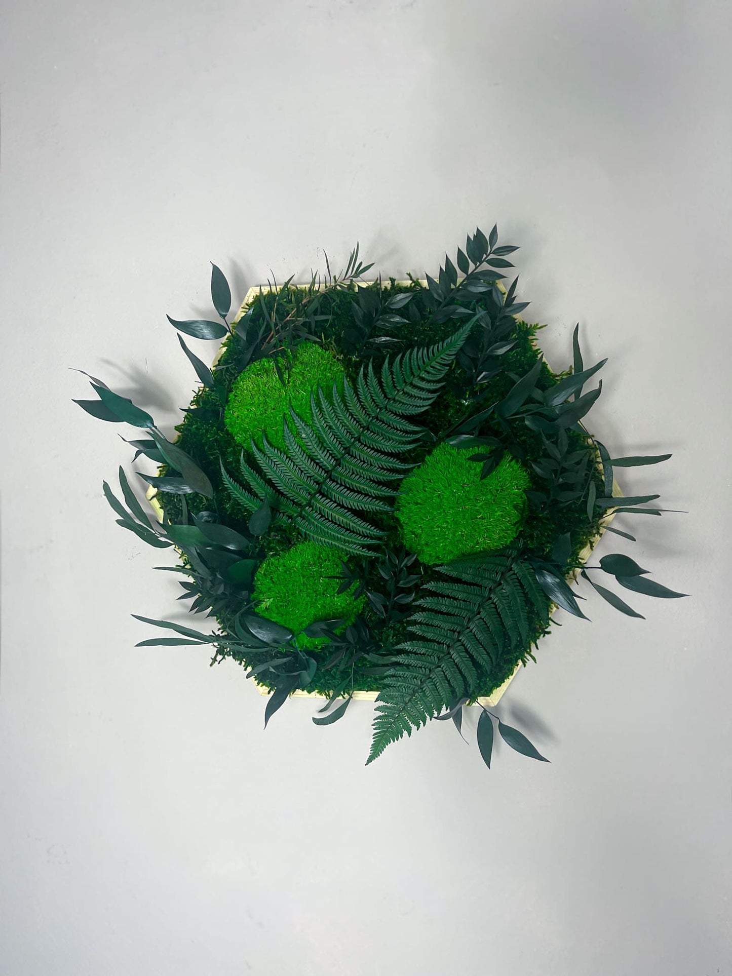 Dschungel Urban Dschungelbild Moosbild Moosbilder Pflanzenbild Wandbild Jungel Pflanzen Farn Farnblatt Deko Dekoration