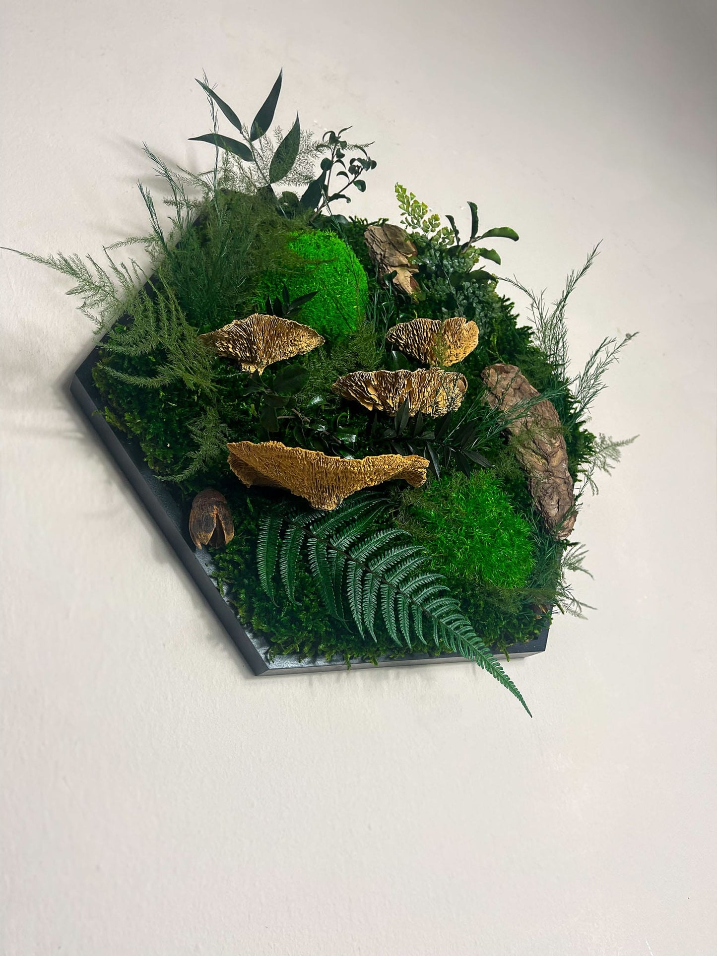 Geschenk Rahmen Hexagon Wabe Bienenwabe Waben modern Sechseck  moos Moosbild  Hellgrün Grün Natur  Moobilder Mooswand Pflanzen Pflanzenbild Flachmoos Waldmoos Muttertag Geburtstag Wohnung Wand Deko Dekoration Ranke Ranken Dschungel Dschungelmoos Dschungelpflanze Farn Farnblätter Farnblatt Baumpilz Fichte Baumschwamm Schwamm Pilz Waldpilz Pilze Ast Holzstück Holz