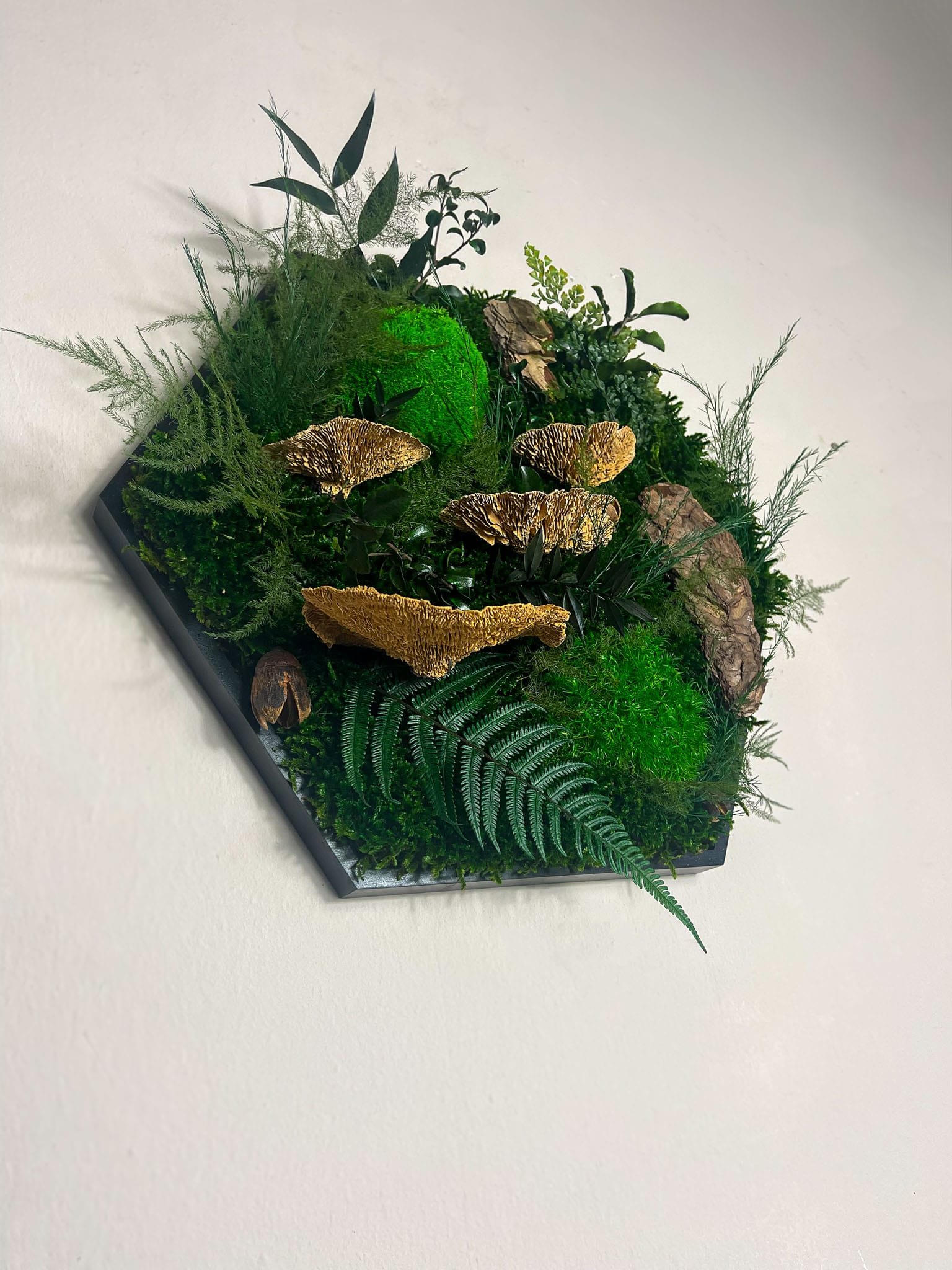 Geschenk Rahmen Hexagon Wabe Bienenwabe Waben modern Sechseck  moos Moosbild  Hellgrün Grün Natur  Moobilder Mooswand Pflanzen Pflanzenbild Flachmoos Waldmoos Muttertag Geburtstag Wohnung Wand Deko Dekoration Ranke Ranken Dschungel Dschungelmoos Dschungelpflanze Farn Farnblätter Farnblatt Baumpilz Fichte Baumschwamm Schwamm Pilz Waldpilz Pilze Ast Holzstück Holz