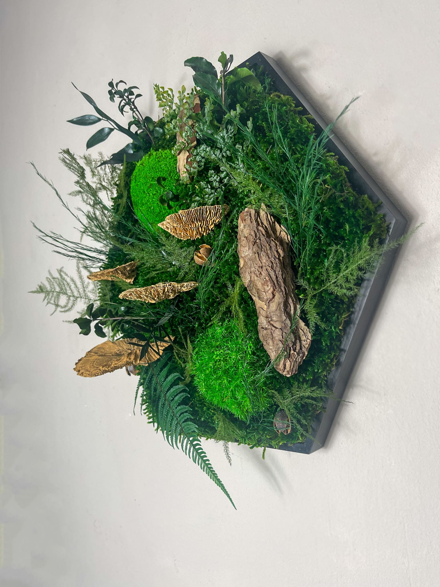 Geschenk Rahmen Hexagon Wabe Bienenwabe Waben modern Sechseck  moos Moosbild  Hellgrün Grün Natur  Moobilder Mooswand Pflanzen Pflanzenbild Flachmoos Waldmoos Muttertag Geburtstag Wohnung Wand Deko Dekoration Ranke Ranken Dschungel Dschungelmoos Dschungelpflanze Farn Farnblätter Farnblatt Baumpilz Fichte Baumschwamm Schwamm Pilz Waldpilz Pilze Ast Holzstück Farben