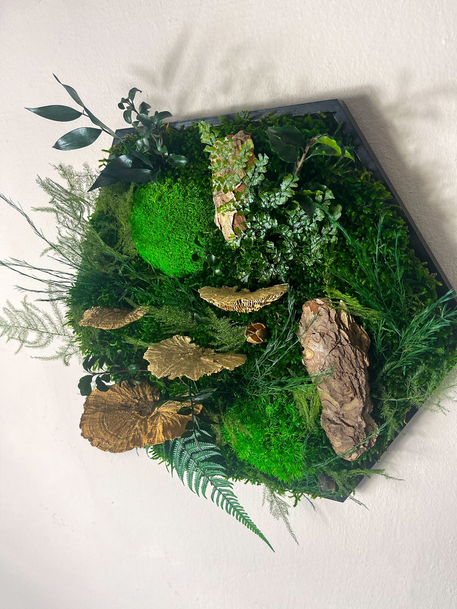 Geschenk Rahmen Hexagon Wabe Bienenwabe Waben modern Sechseck  moos Moosbild  Hellgrün Grün Natur  Moobilder Mooswand Pflanzen Pflanzenbild Flachmoos Waldmoos Muttertag Geburtstag Wohnung Wand Deko Dekoration Ranke Ranken Dschungel Dschungelmoos Dschungelpflanze Farn Farnblätter Farnblatt Baumpilz Fichte Baumschwamm Schwamm Pilz Waldpilz Pilze Ast Holzstück Hülse Hülsenfrüchte