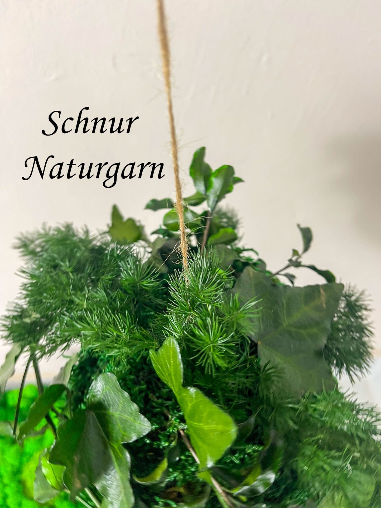 Kokedama "Konoha no mori" Moosball Mooskugel mit Pflanzen