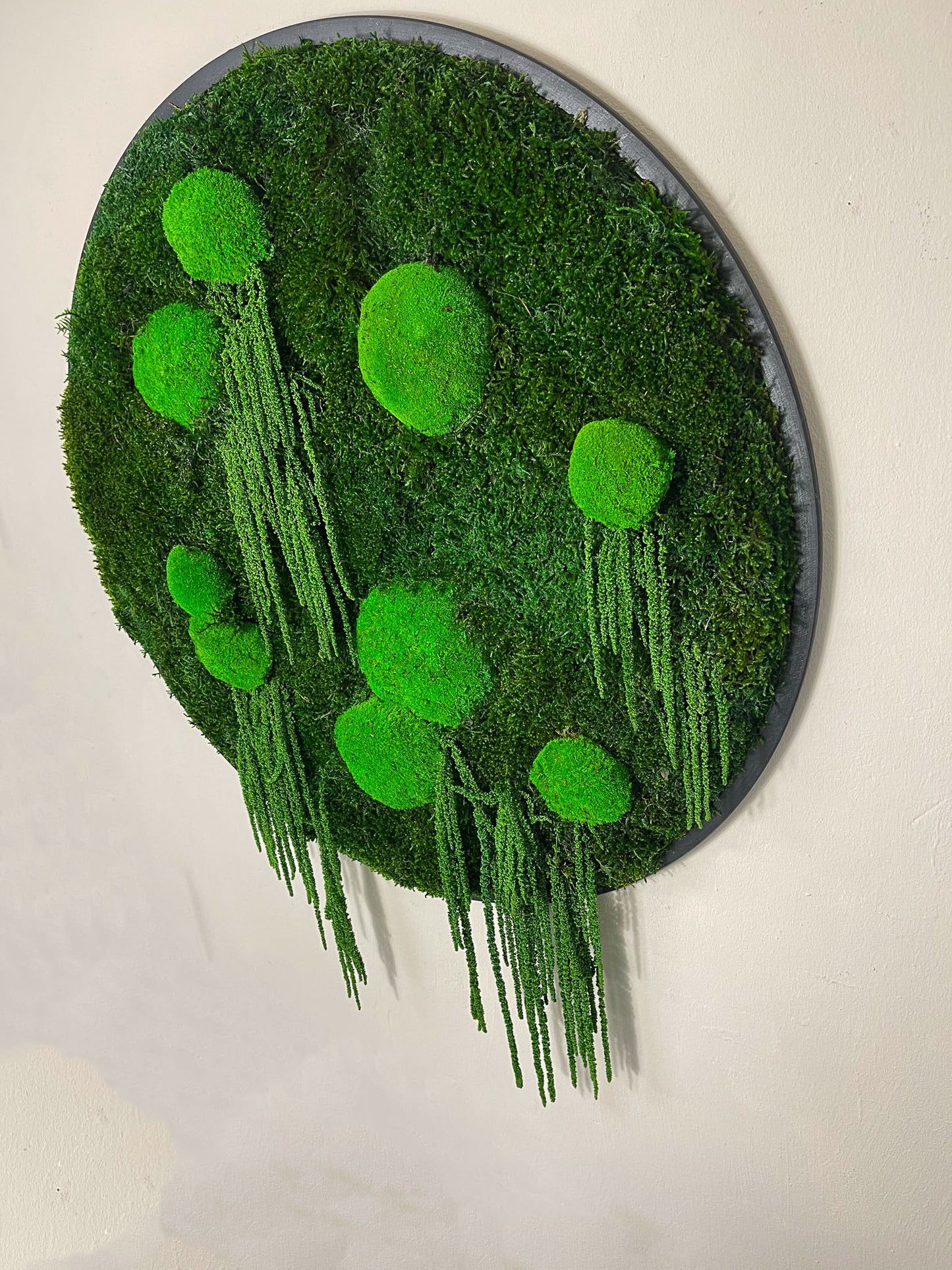 Geschenk Rahmen modern moos Moosbild Hellgrün Grün Natur Moobilder Mooswand Pflanzen Pflanzenbild Flachmoos Waldmoos Muttertag Geburtstag Wohnung Wand Deko Dekoration Ranke Ranken Hügelmoos Kugel Ballmoos Ball