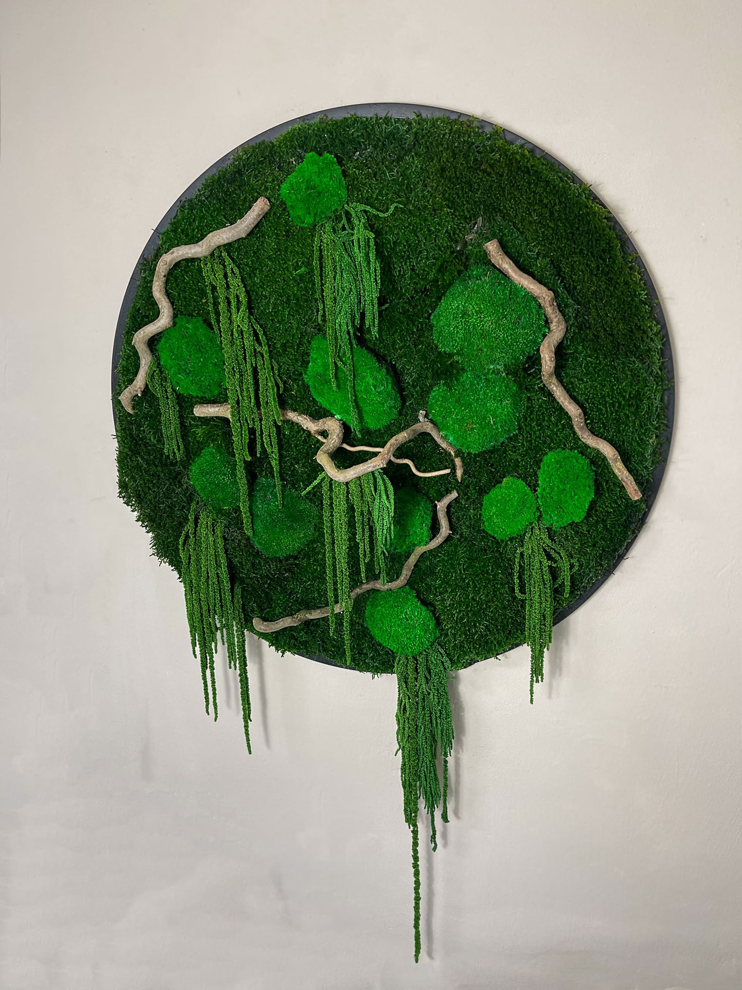 Geschenk Rahmen modern moos Moosbild Natur Moosbilder Mooswand Pflanzen Pflanzenbild Flachmoos Waldmoos Muttertag Geburtstag Wohnung Wand Deko Dekoration Ast Teak Treibholz innen grün Wald Innenraum Deko Dekoration verschwungen geschwungen Baum Lebensbaum Leben Dekoast Äste Korkenzieher Nussbaum rund Kreis