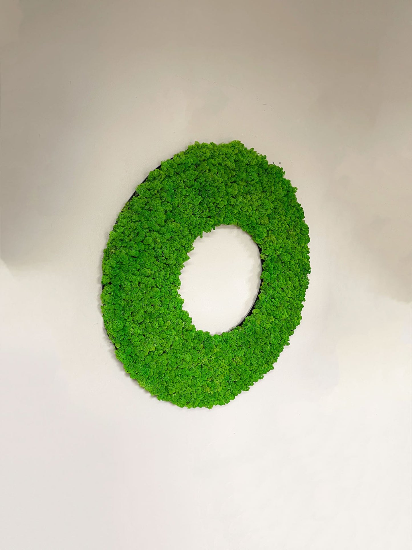 Geschenk modern moos Moosbild Hellgrün Grün Natur Moobilder Mooswand Pflanzen Pflanzenbild Flachmoos Waldmoos Muttertag Geburtstag Wohnung Wand Deko Dekoration Islandmoos Rentiermoos Moosring Mooskreis Kreise Wandkreis Deko Objekt