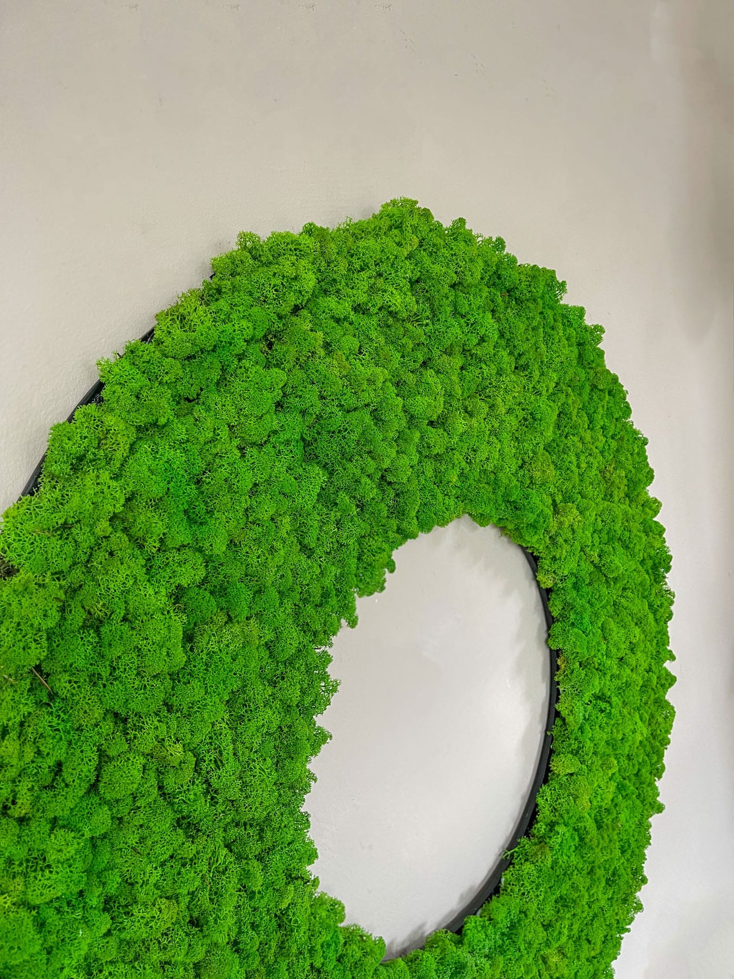 Geschenk modern moos Moosbild Hellgrün Grün Natur Moobilder Mooswand Pflanzen Pflanzenbild Flachmoos Waldmoos Muttertag Geburtstag Wohnung Wand Deko Dekoration Islandmoos Rentiermoos Rahmenlos Waldkreis Baumkreis Naturkreis Lebenskreis Lebensring Yoga Meditation meditieren Studio