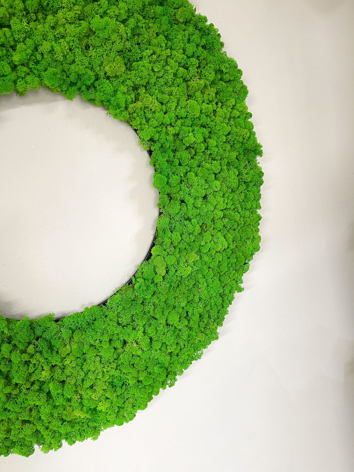 Geschenk modern moos Moosbild Hellgrün Grün Natur Moobilder Mooswand Pflanzen Pflanzenbild Flachmoos Waldmoos Muttertag Geburtstag Wohnung Wand Deko Dekoration Islandmoos Rentiermoos Wanddekoration Kreis Ring