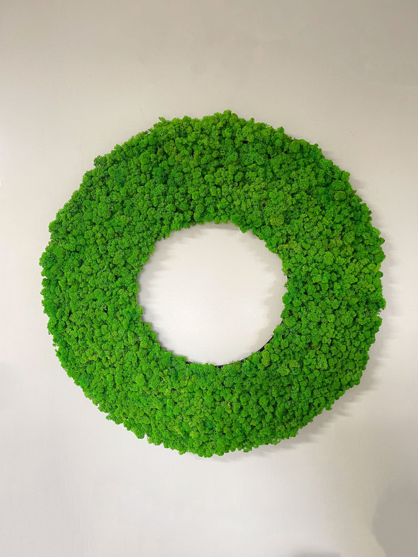 Geschenk modern moos Moosbild Hellgrün Grün Natur Moobilder Mooswand Pflanzen Pflanzenbild Flachmoos Waldmoos Muttertag Geburtstag Wohnung Wand Deko Dekoration Islandmoos Rentiermoos Moosring Lebensring Naturkreis