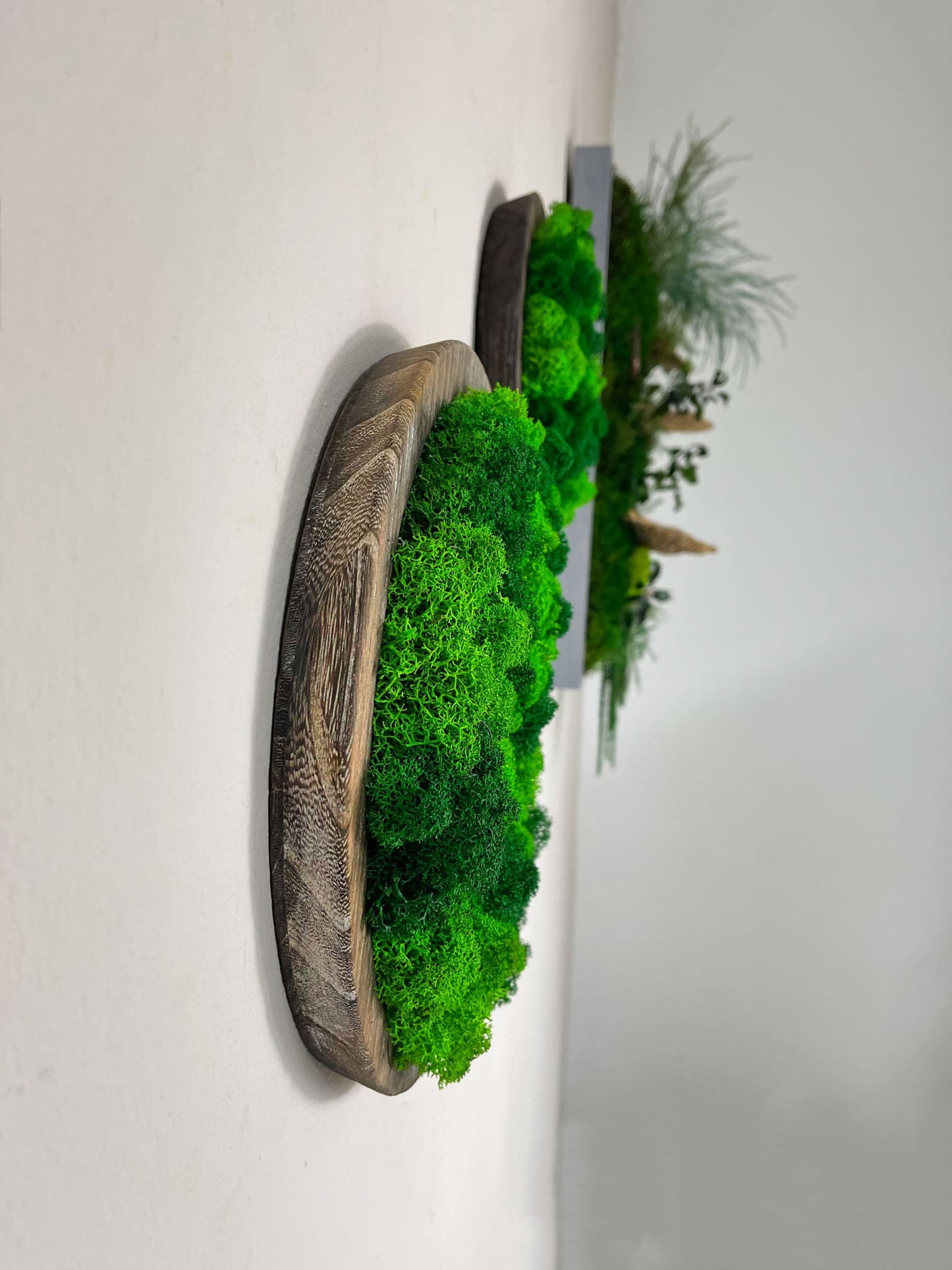 Geschenk modern moos Moosbild Hellgrün Grün Natur Moobilder Mooswand Pflanzen Pflanzenbild Flachmoos Waldmoos Muttertag Geburtstag Wohnung Wand Deko Dekoration Islandmoos Rentiermoos Rund Naturholz Treibholz