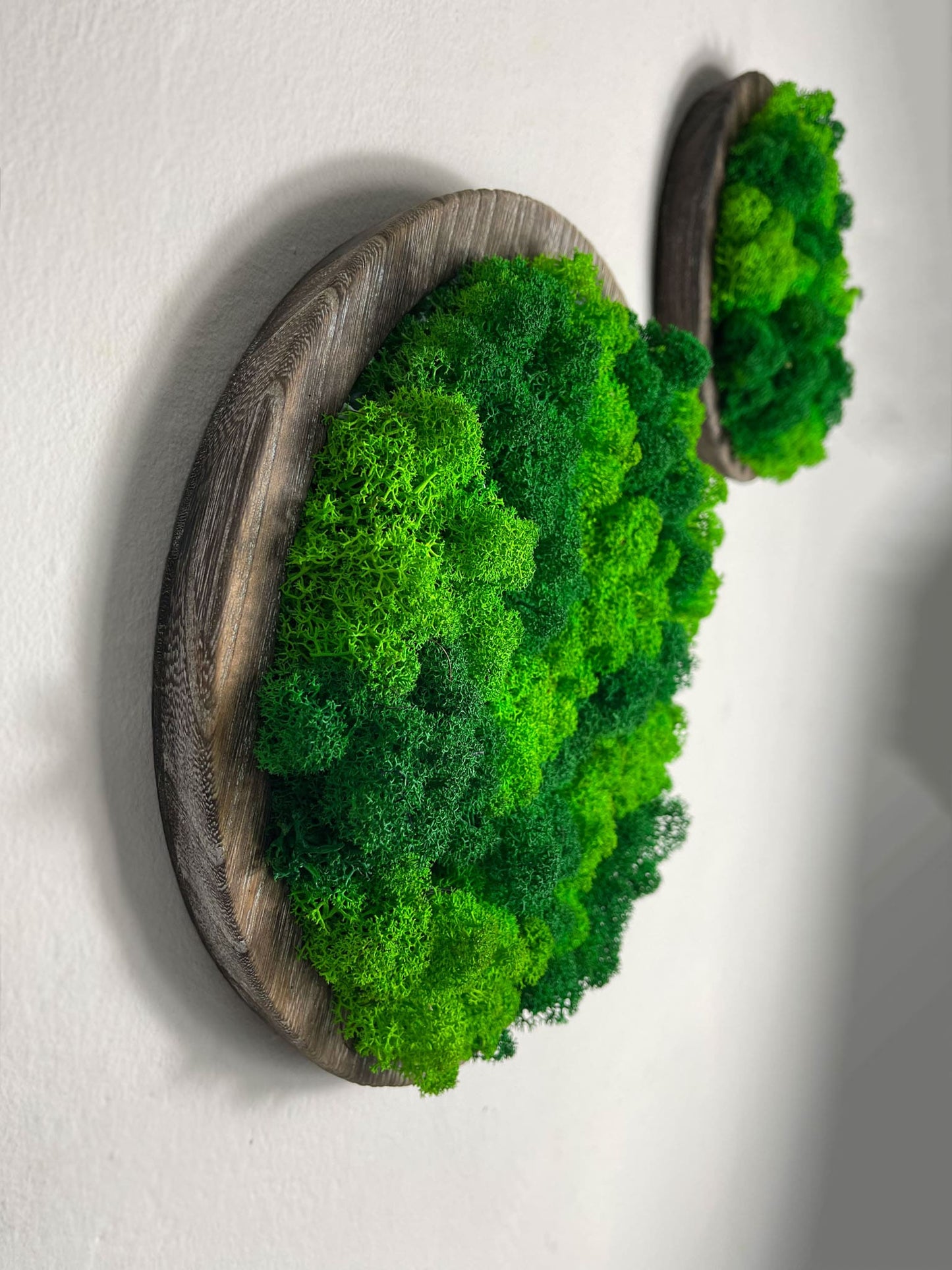 Geschenk modern moos Moosbild Hellgrün Grün Natur Moobilder Mooswand Pflanzen Pflanzenbild Flachmoos Waldmoos Muttertag Geburtstag Wohnung Wand Deko Dekoration Islandmoos Rentiermoos rustikaler Holz Rahmen