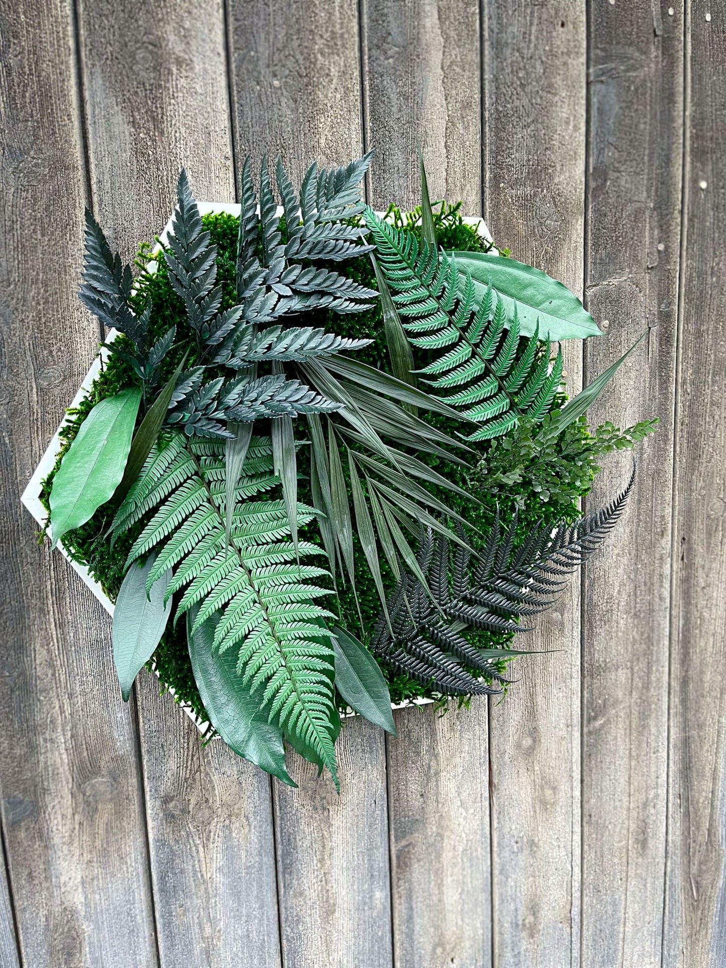 Wild Wilder Blattdschungel Dschungel Jungle Innenraum Büro Wohnung Haus Deko Office Wandbegrünung begrünung Farn Farnblatt Waldmoos Moosbild Mooswand pflanzenwand Moosbilder Regenwald Palme Wabe Hexagon Sechseck grün innen