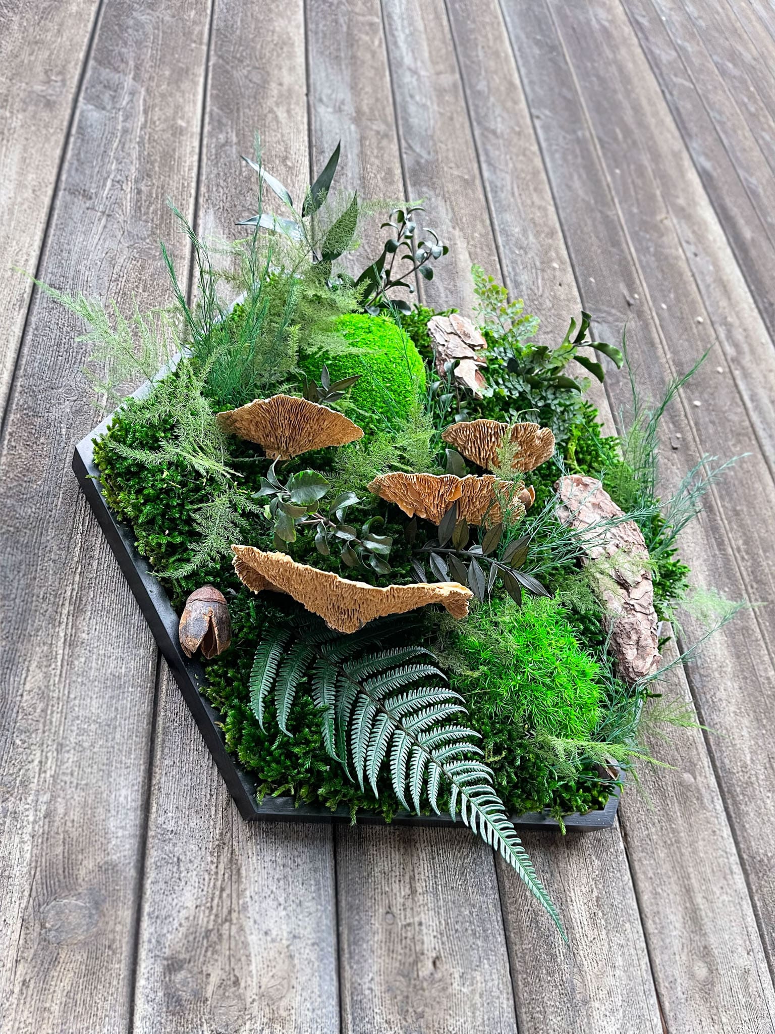 Baumpilz Baumschwamm Schwamm moosbild Pflanzenbild Wabe Hexagon Gedankenwunder Manufaktur Handmade Nüsse Hügelmoos Moos Baumrinde Sechseck Pflanzenbild Garten Deko Haus Wohnung Büro Office Cafe
