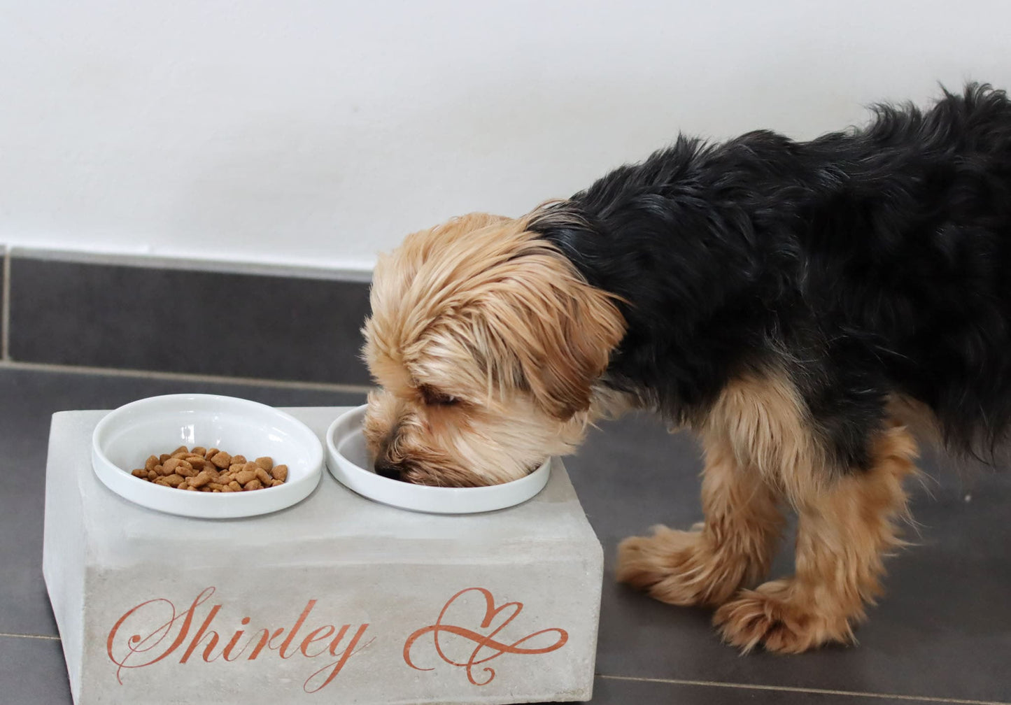 Hund Futterbar Hundeglück Tier Katze Beton Napf Symbol Schrift Schriftzug personalisiert Name Futterstation Schalen Beton Schale Bar Futter Napf Napfstation Hunde Unikat einzigartig Keramik Tiernahrung Hundefutter Trockenfutter Nassfutter Fressen
