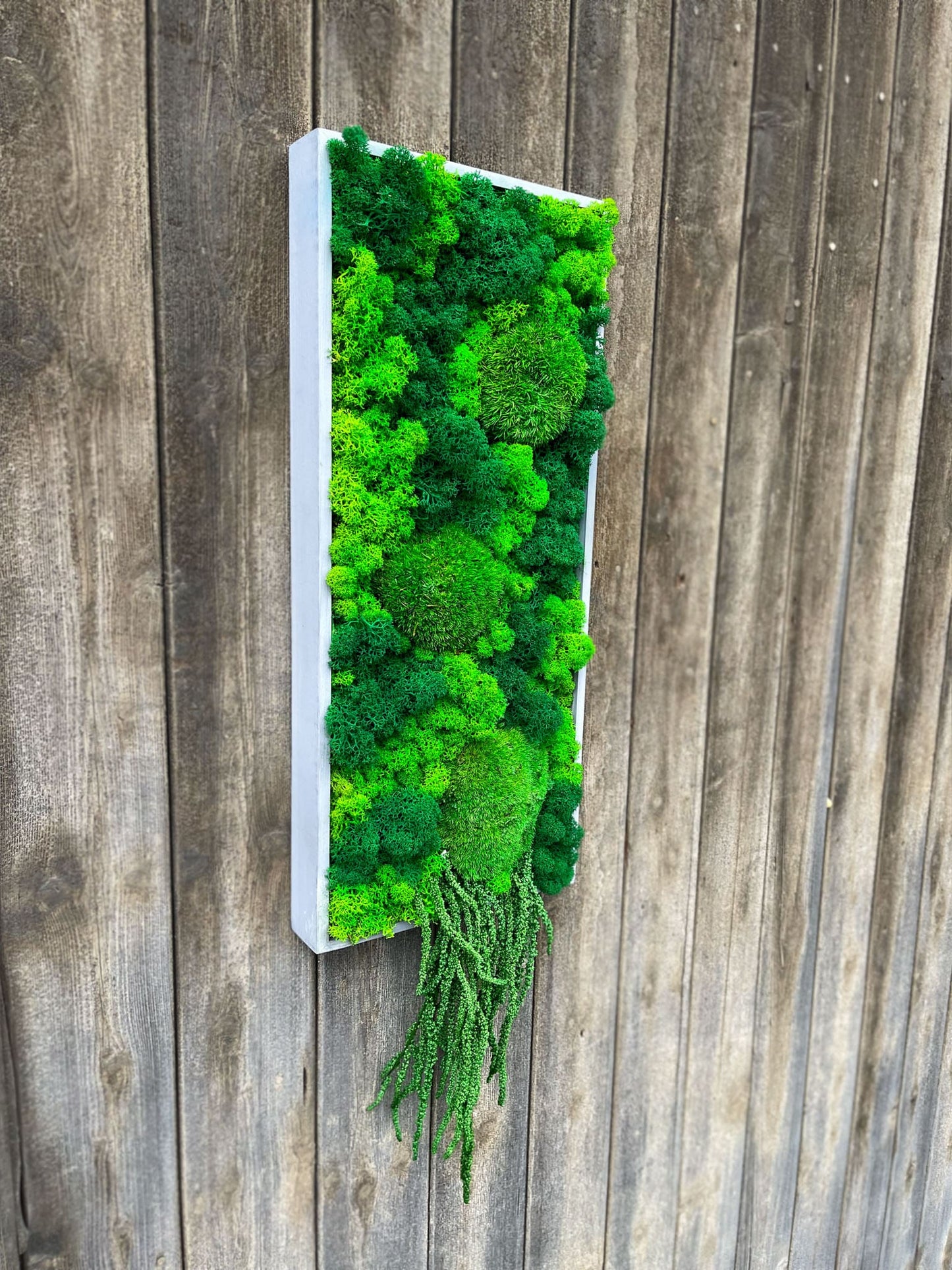 Geschenk Rahmen modern moos Moosbild Hellgrün Grün Natur Moobilder Mooswand Pflanzen Pflanzenbild Flachmoos Waldmoos Muttertag Geburtstag Wohnung Wand Deko Dekoration Islandmoos Rentiermoos Ranke Ranken innen grün Rechteck Gedankenwunder Manufaktur handmade Handarbeit Geschek Unikat
