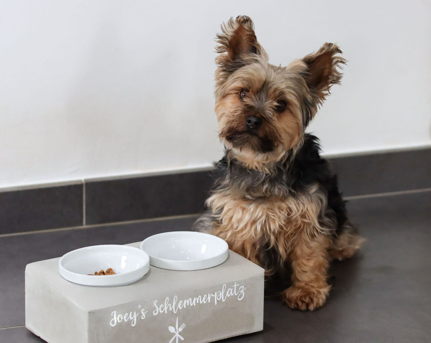 Hund Futterbar Hundeglück Tier Katze Beton Napf Symbol Schrift Schriftzug personalisiert Name Futterstation Schalen Beton Schale Bar Futter Napf Napfstation Hunde Tier Liebling Lieblingstier Wunsch