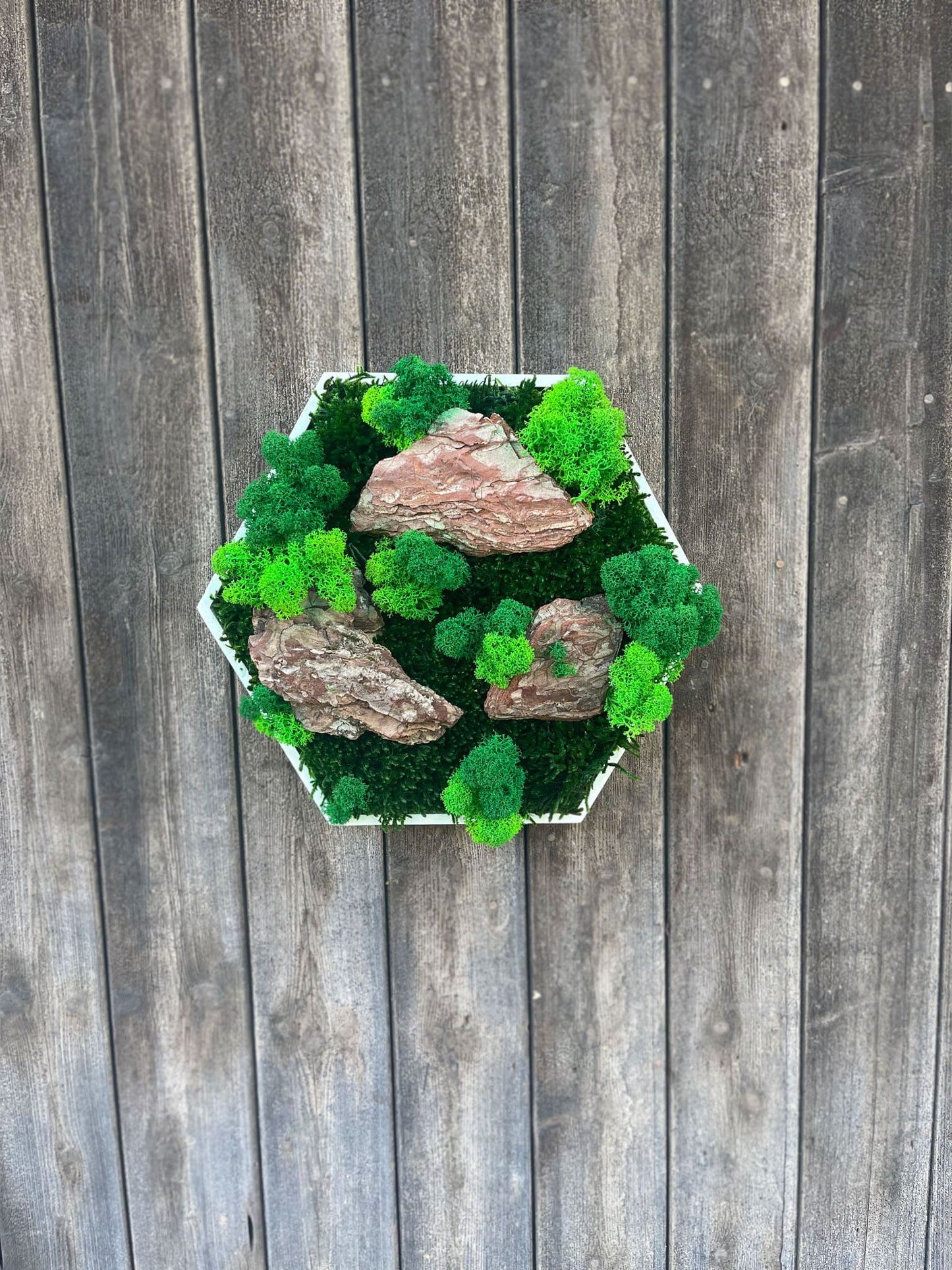 Geschenk Rahmen Hexagon Wabe Bienenwabe Waben modern Sechseck moos Moosbild Hellgrün Grün Natur Moobilder Mooswand Pflanzen Pflanzenbild Flachmoos Waldmoos Muttertag Geburtstag Wohnung Wand Deko Dekoration Islandmoos Rentiermoos Holz Holzstücke Treibholz Bicolour Bicolor Farbe Farben Rustikal