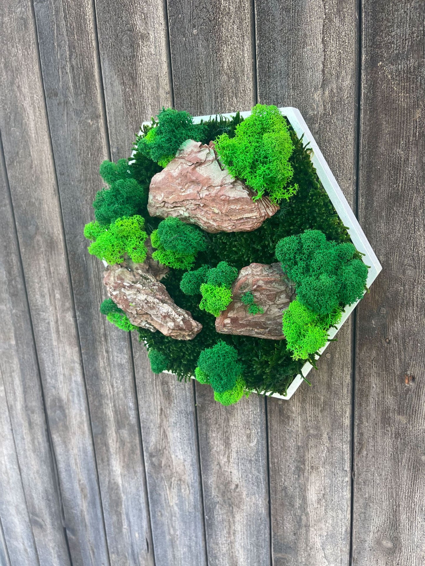Geschenk Rahmen Hexagon Wabe Bienenwabe Waben modern Sechseck moos Moosbild Hellgrün Grün Natur Moobilder Mooswand Pflanzen Pflanzenbild Flachmoos Waldmoos Muttertag Geburtstag Wohnung Wand Deko Dekoration Islandmoos Rentiermoos Holz Holzstücke Treibholz Wald Baum Holzstücke Ast