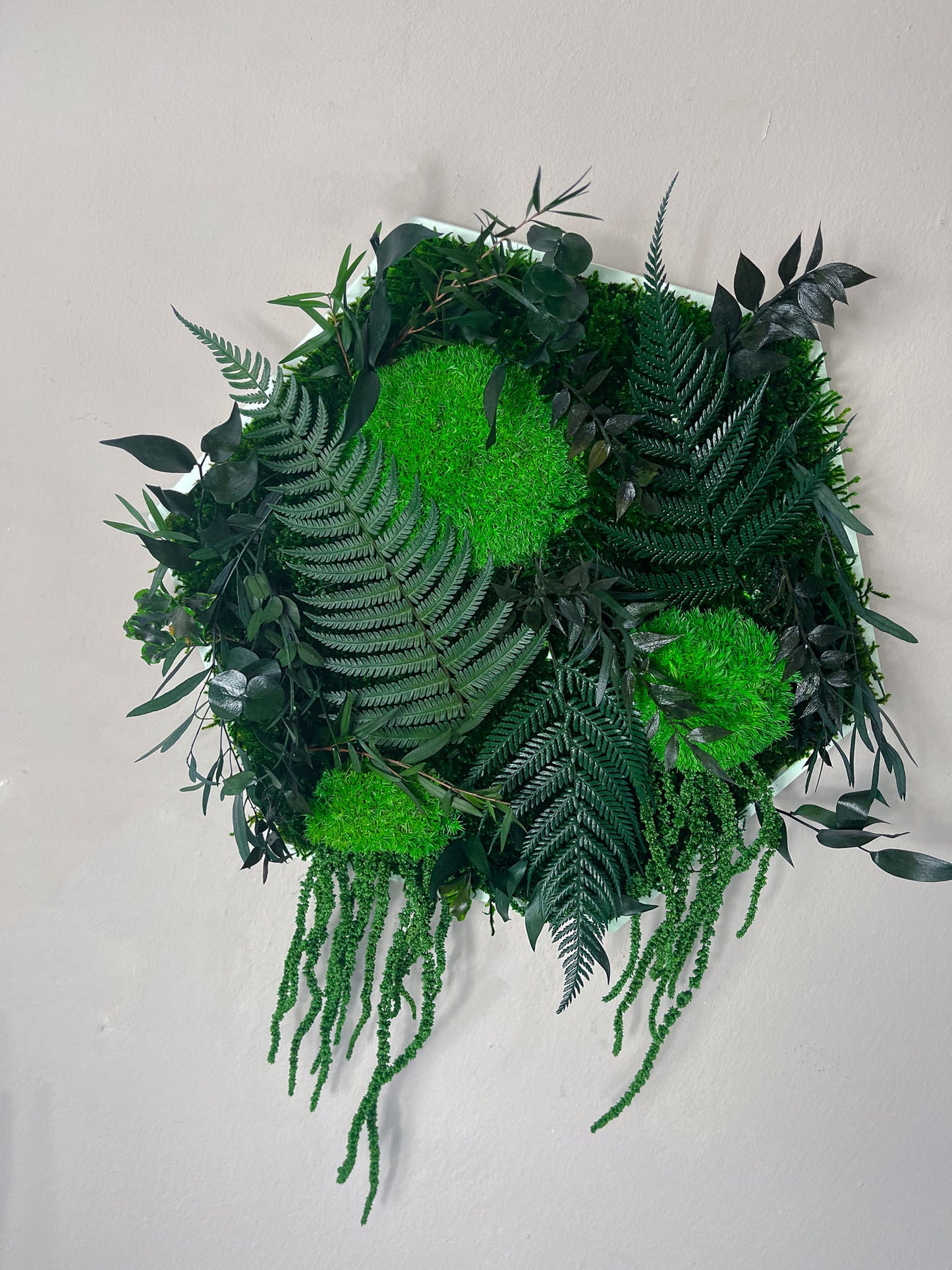 Geschenk Rahmen modern moos Moosbild Hellgrün Grün Natur Moobilder Mooswand Pflanzen Pflanzenbild Flachmoos Waldmoos Muttertag Geburtstag Wohnung Wand Deko Dekoration innen grün Wald Innenraum Deko DekorationWabe Sechseck Hexagon Ranke Ranken Dschungel Urwald Büro Home Office Schlafzimmer Bad Badezimmer Wohnzimmer Raum Zimmer Design