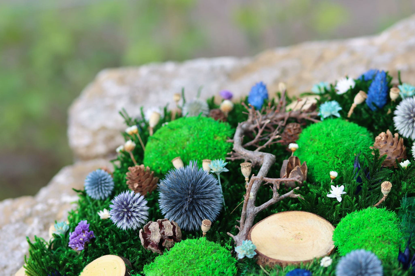 Geschenk Rahmen modern moos Moosbild Hellgrün Grün Natur Moobilder Mooswand Pflanzen Pflanzenbild Waldmoos Muttertag Geburtstag Wohnung Wand Deko Dekoration innen grün Wald Innenraum Deko Dekoration Wabe Hexagon Sechseck Unikat Manufaktur Distel Nüsse Ast Oberon Waldkönig Feenkönig König