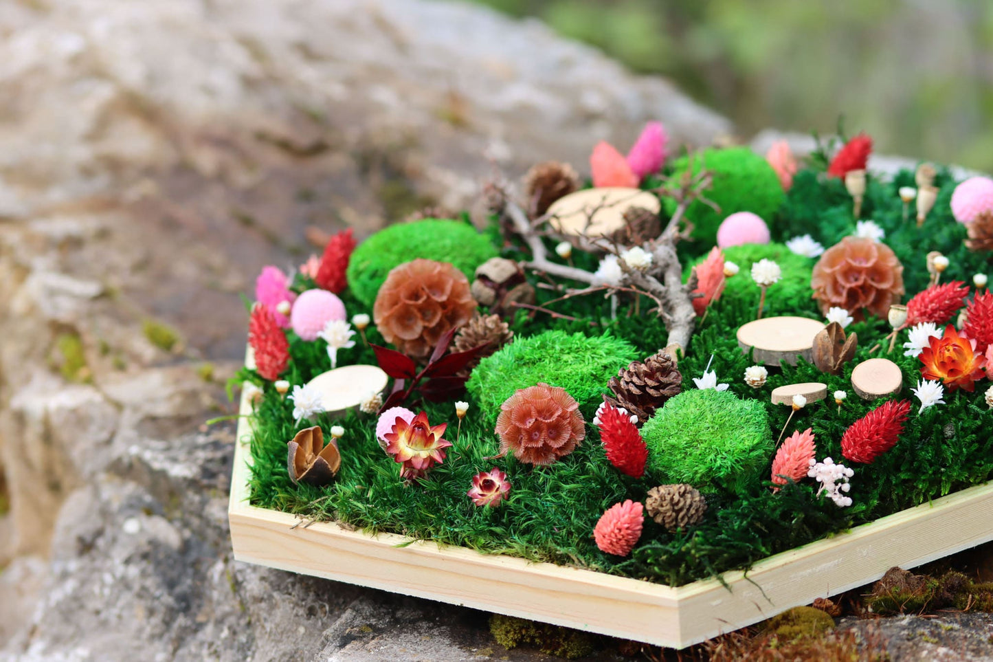 Geschenk Rahmen modern moos Moosbild Hellgrün Grün Natur Moobilder Mooswand Pflanzen Pflanzenbild Waldmoos Muttertag Geburtstag Wohnung Wand Deko Dekoration innen grün Wald Innenraum Deko Dekoration Wabe Hexagon Sechseck Fee Titania Einzigartig Unikat