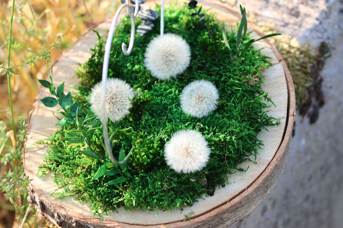 Ringkissen Kissen Ringhalter Herz Hochzeit Altar Moos Moosbild Pflanze Pflanzen Birke Birkenscheibe Mutter muttertag Geschenk Ring Verlobung Hochzeitsgeschenk Unikat personalisiert Trauung Hochzeitsringe Halter Baumscheibe Trockenblumen Dekoration Deko Hochzeitsdeko Pusteblume