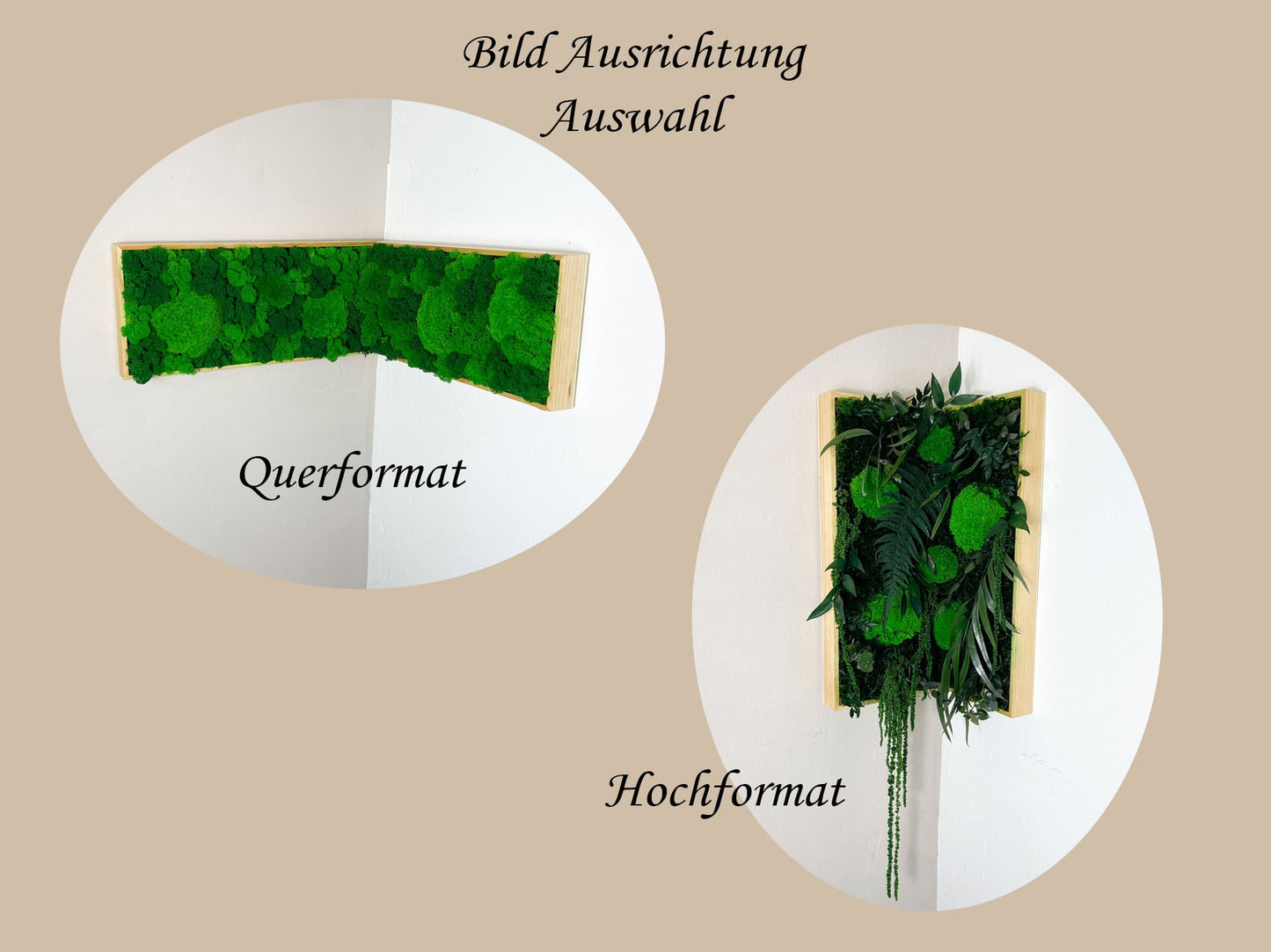 Geschenk Rahmen modern moos Moosbild Hellgrün Natur Moosbilder Mooswand Pflanzen Pflanzenbild Flachmoos Waldmoos Wohnung Wand Dekoration Islandmoos Rentiermoos innen grün Wald Innenraum Deko ausrichtung Eckbild Hochformat Querformat