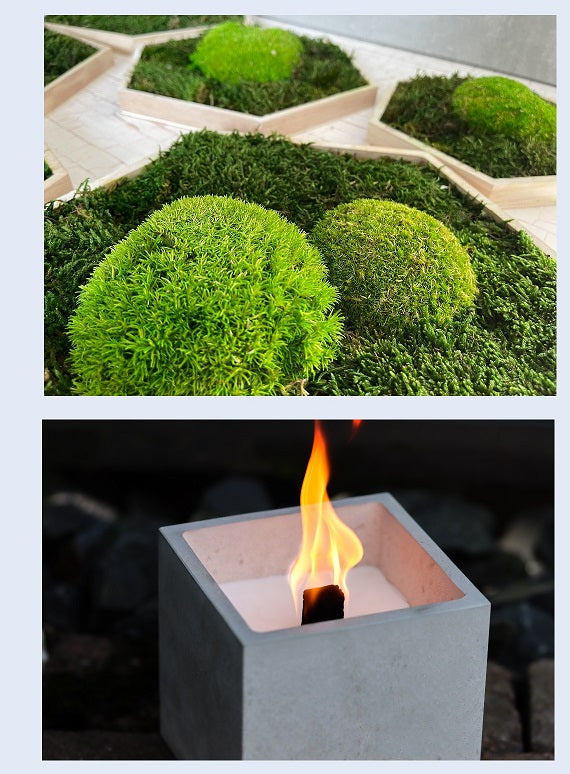 Beton Flamme Feuer Dauerdocht Betondeko ausgefallen Dauerdocht Moos Moosbil Moosbilder Name Buchstabe Infinity Rose Rosenbox ewige Geschenk Muttertag Valentinstag Weihnachten einzigartig personalisiert Blumenkranz Blumenstrauß Hügelmoos Roststecker