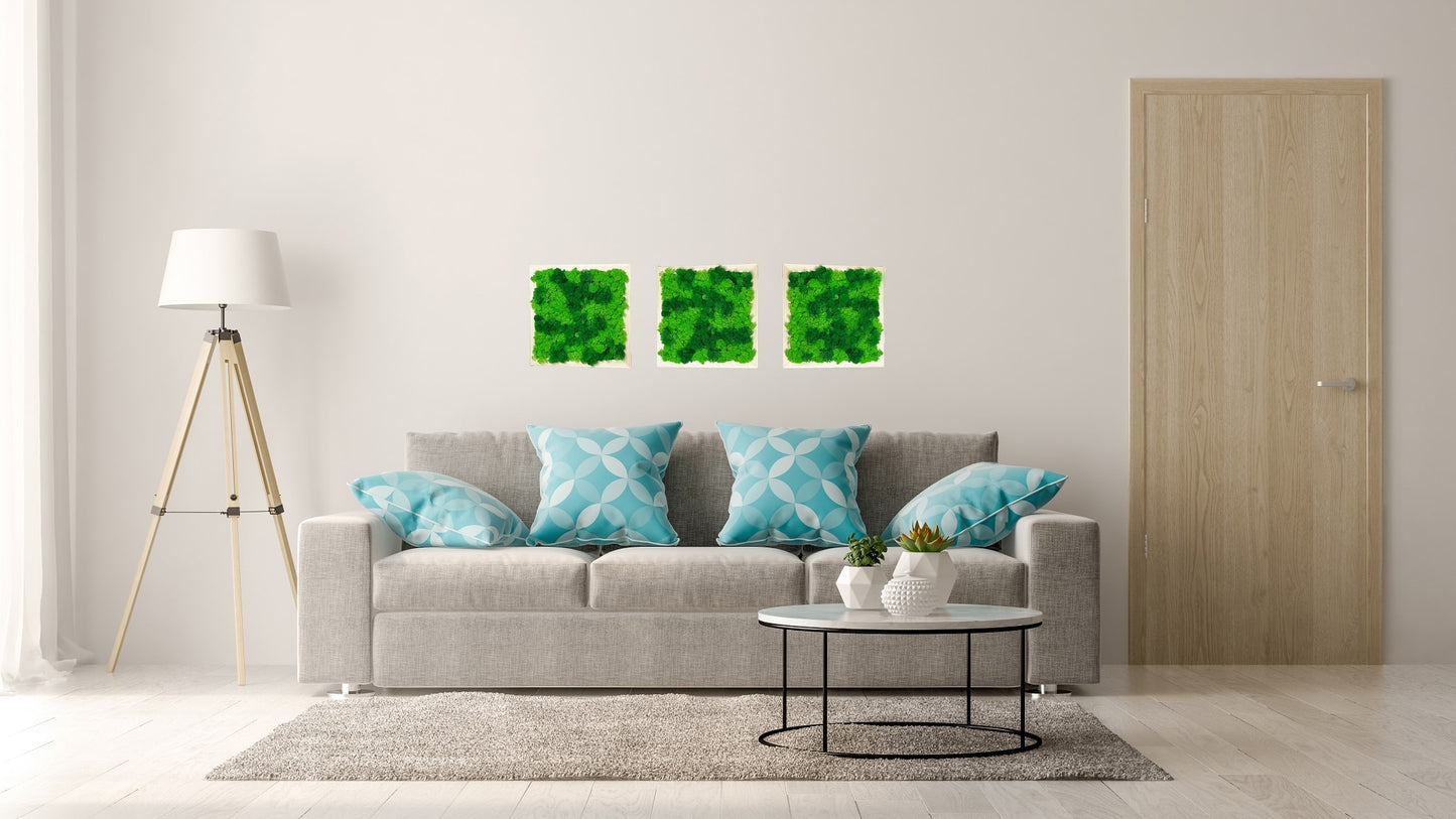 Geschenk Pusteblume Rahmen Rechteck Islandmoos moos Moosbild Rentiermoos Hellgrün Grün Natur Bollenmoos Moobilder Mooswand Pflanzen Pflanzenbild Pusteblume Pusteblumen Löwenzahn Flachmoos Waldmoos Muttertag Geburtstag Wohnung Dschungel moderne Wanddeko