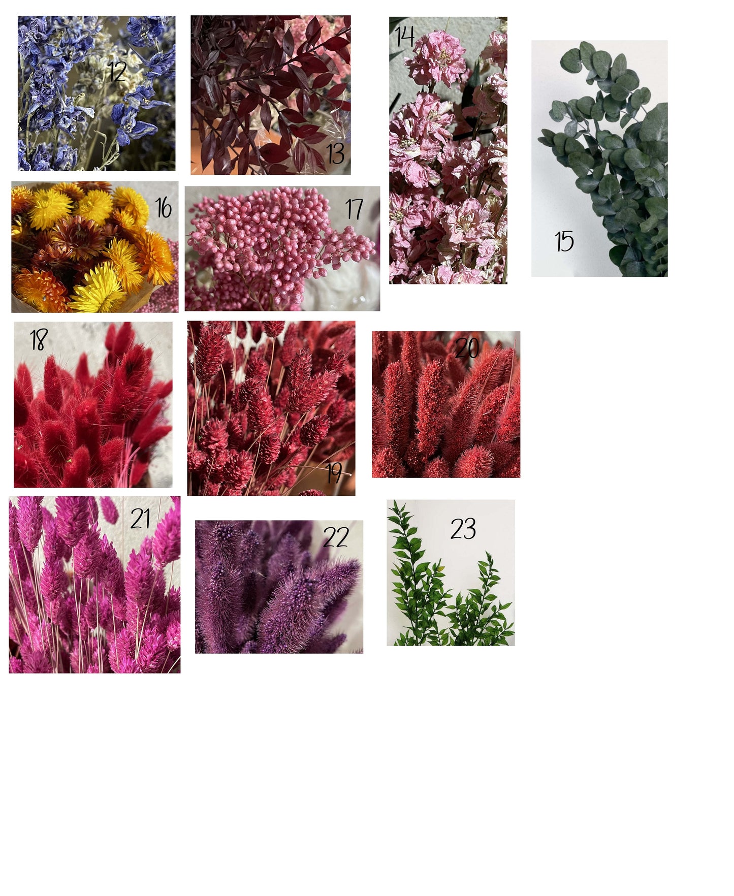 Geschenk Pusteblume Rahmen Rechteck Islandmoos moos Moosbild Rentiermoos Hellgrün Grün Natur Bollenmoos Moobilder Mooswand Pflanzen Pflanzenbild Pusteblume Pusteblumen Löwenzahn Flachmoos Waldmoos Muttertag Geburtstag Wohnung Dschungel Schleierkraut Eukalyptus